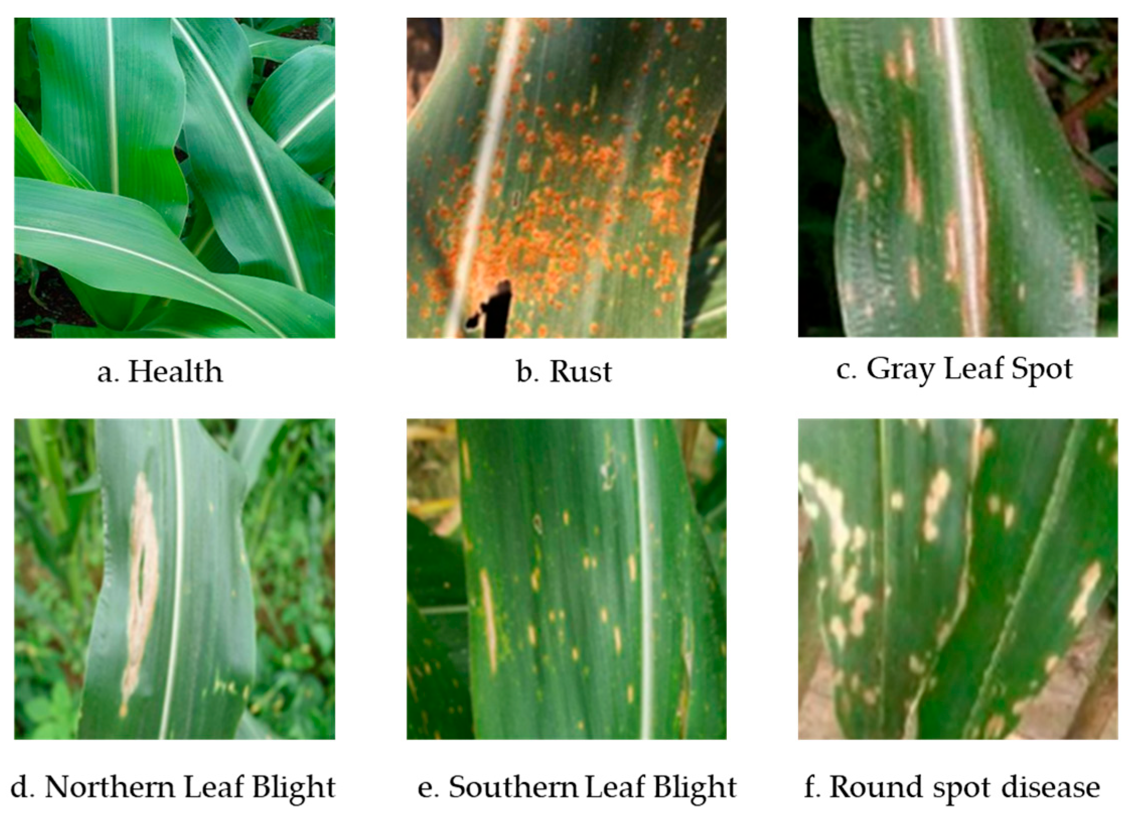 Applsci 15 04535 g001