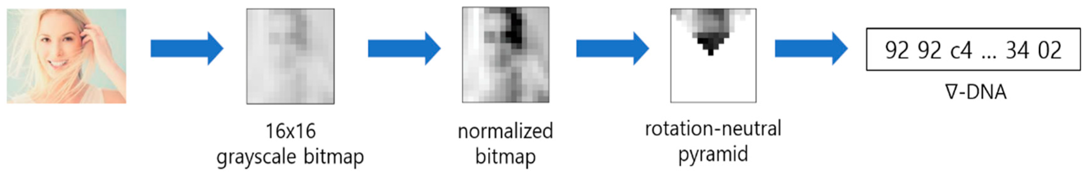 Applsci 15 04539 g003