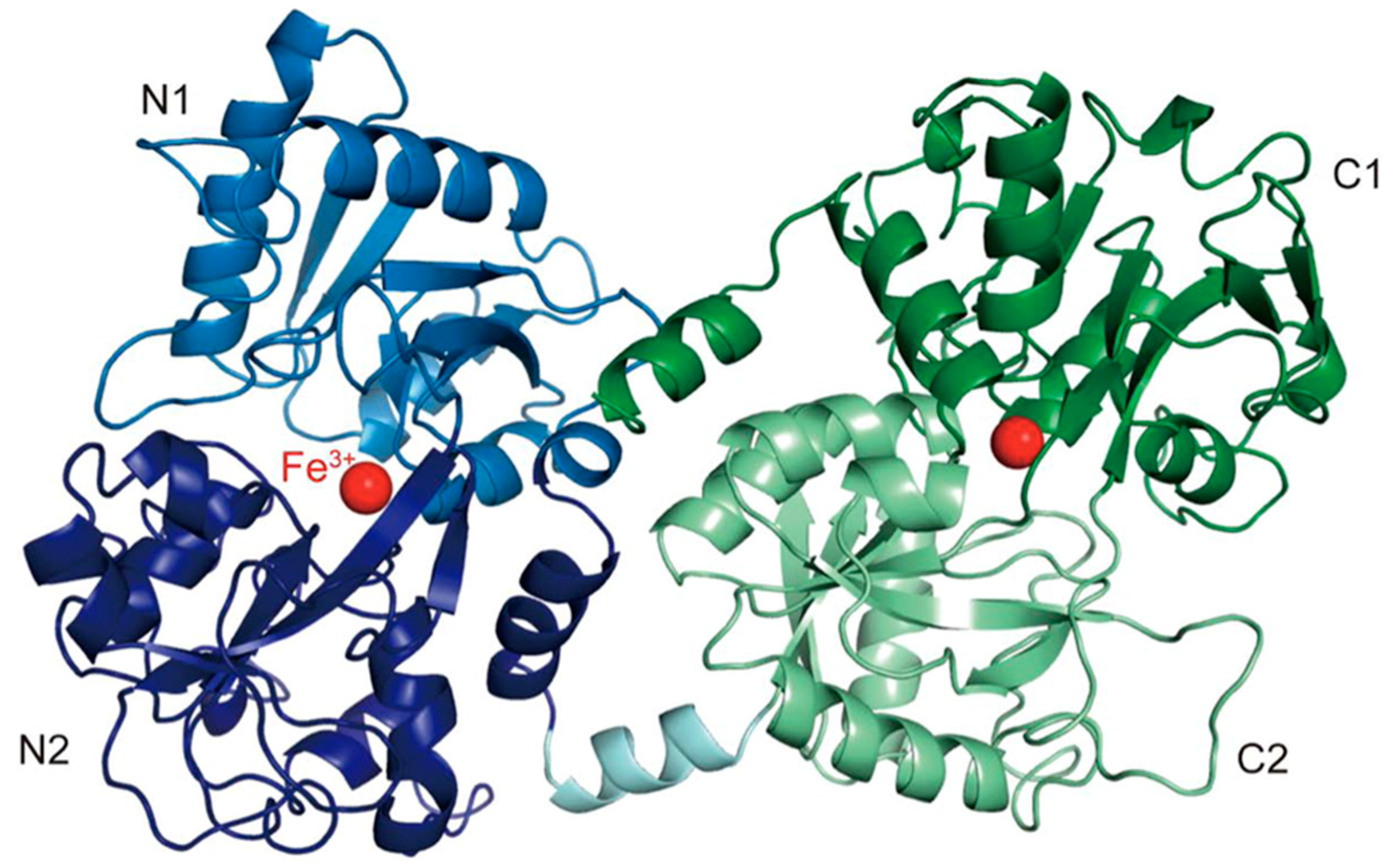 Applsci 15 04540 g001