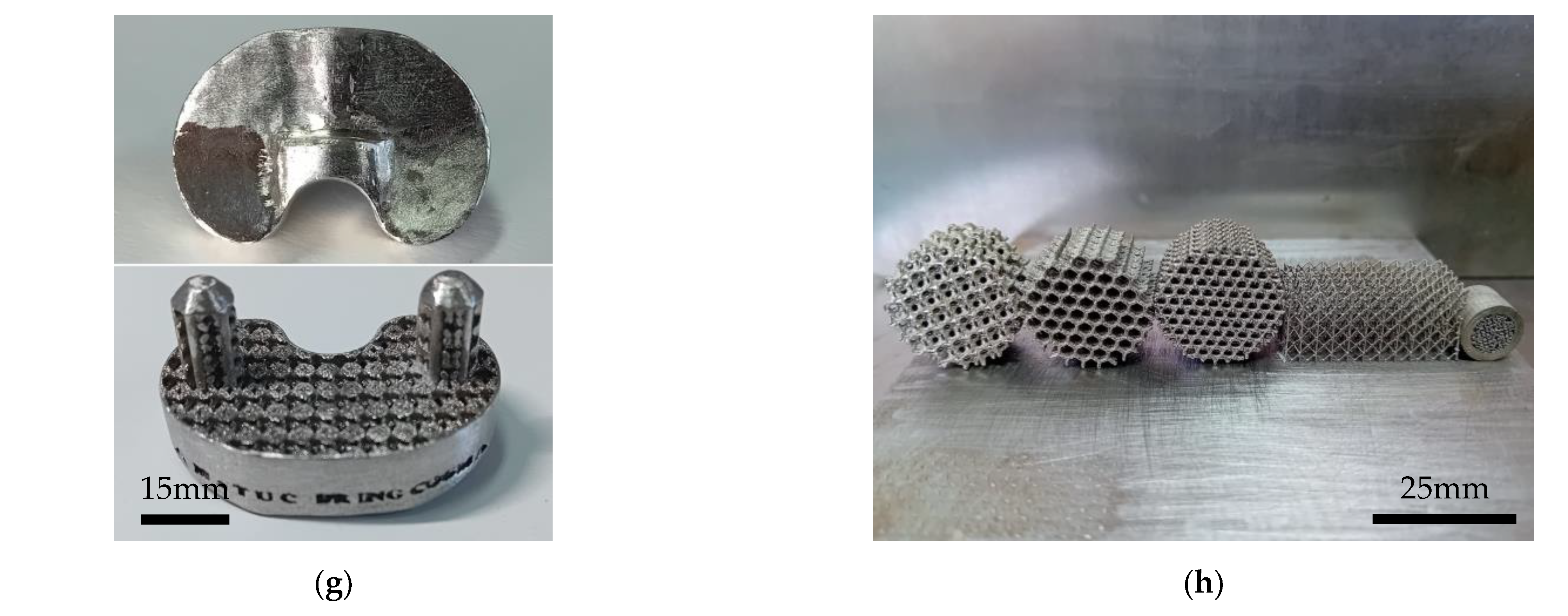 Applsci 15 04542 g003b