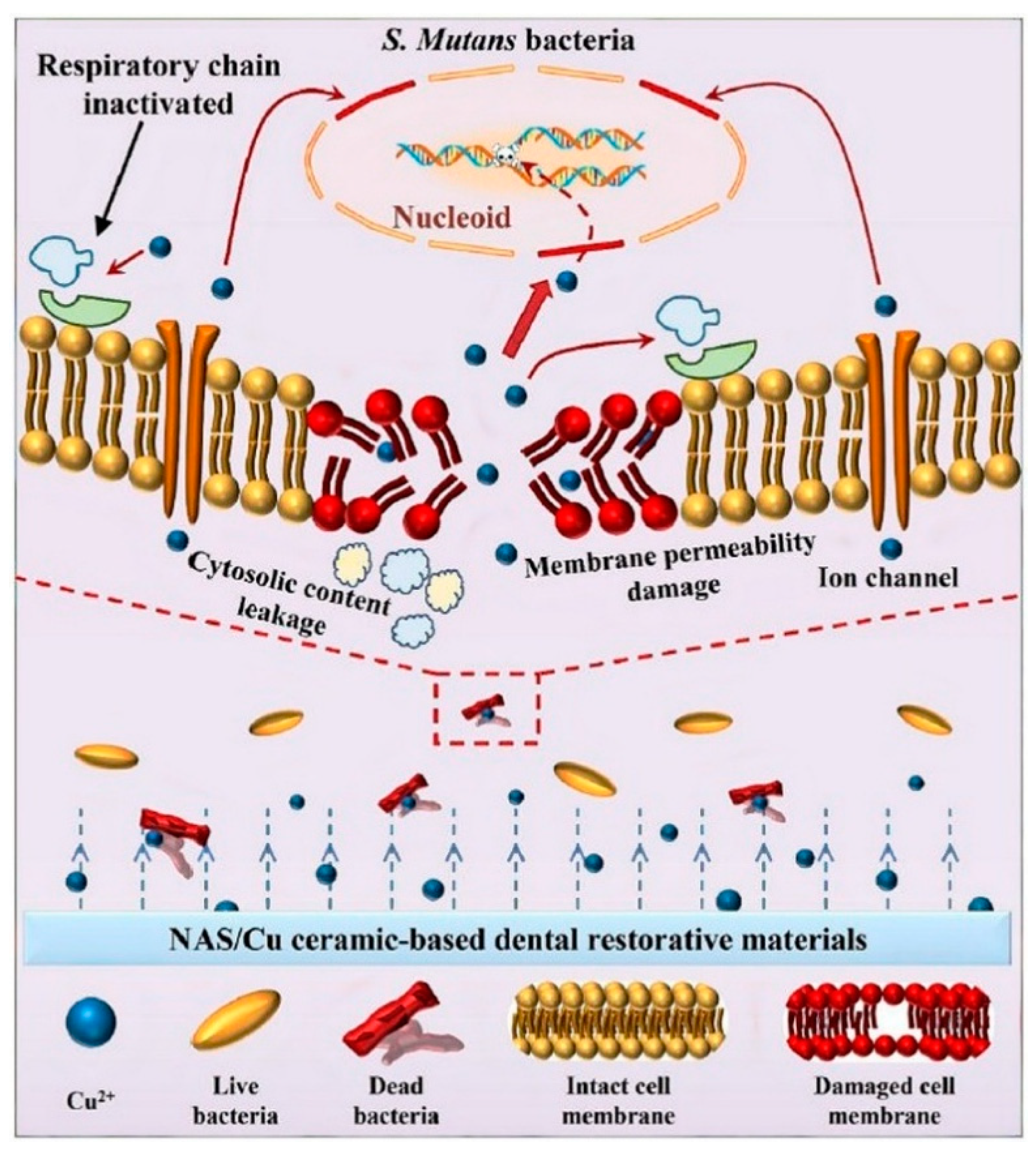 Applsci 15 04553 g009