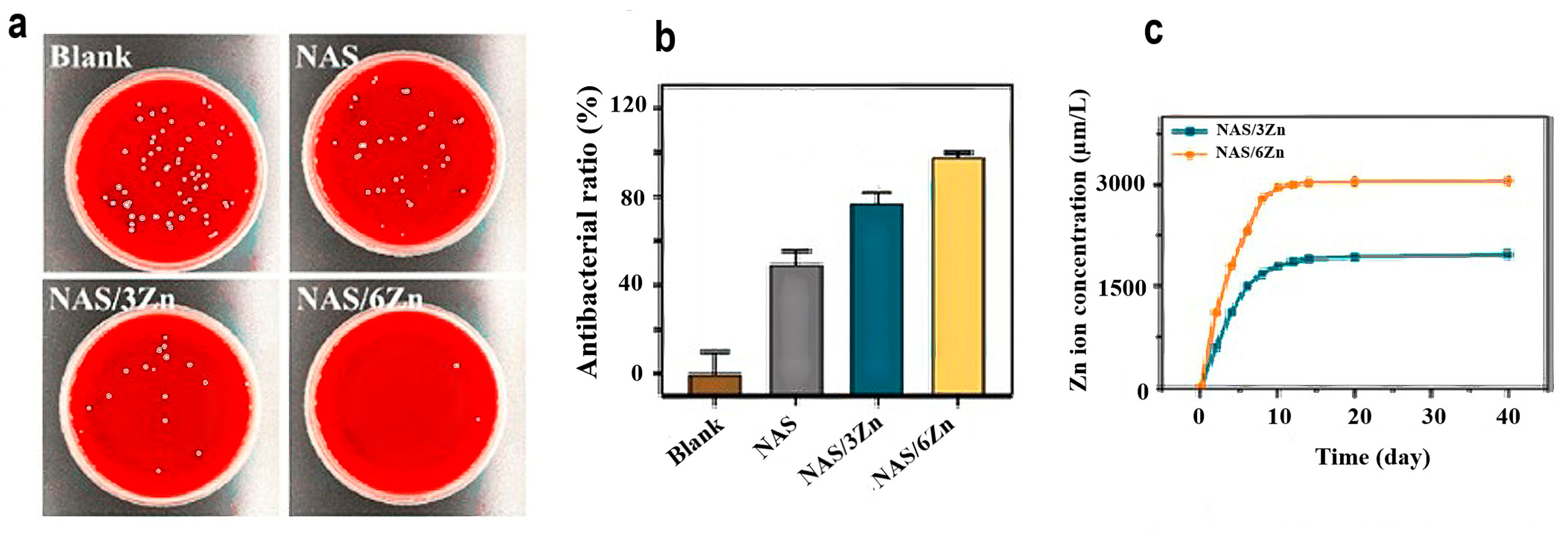 Applsci 15 04553 g011