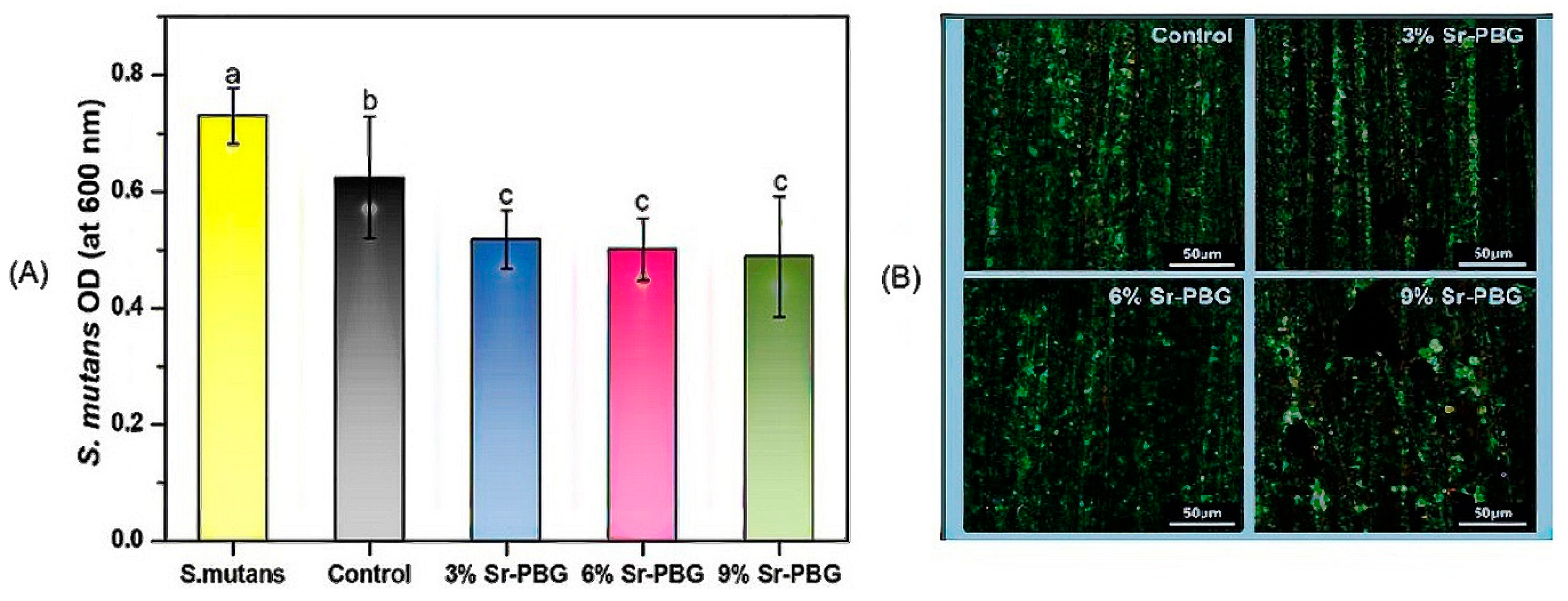 Applsci 15 04553 g012