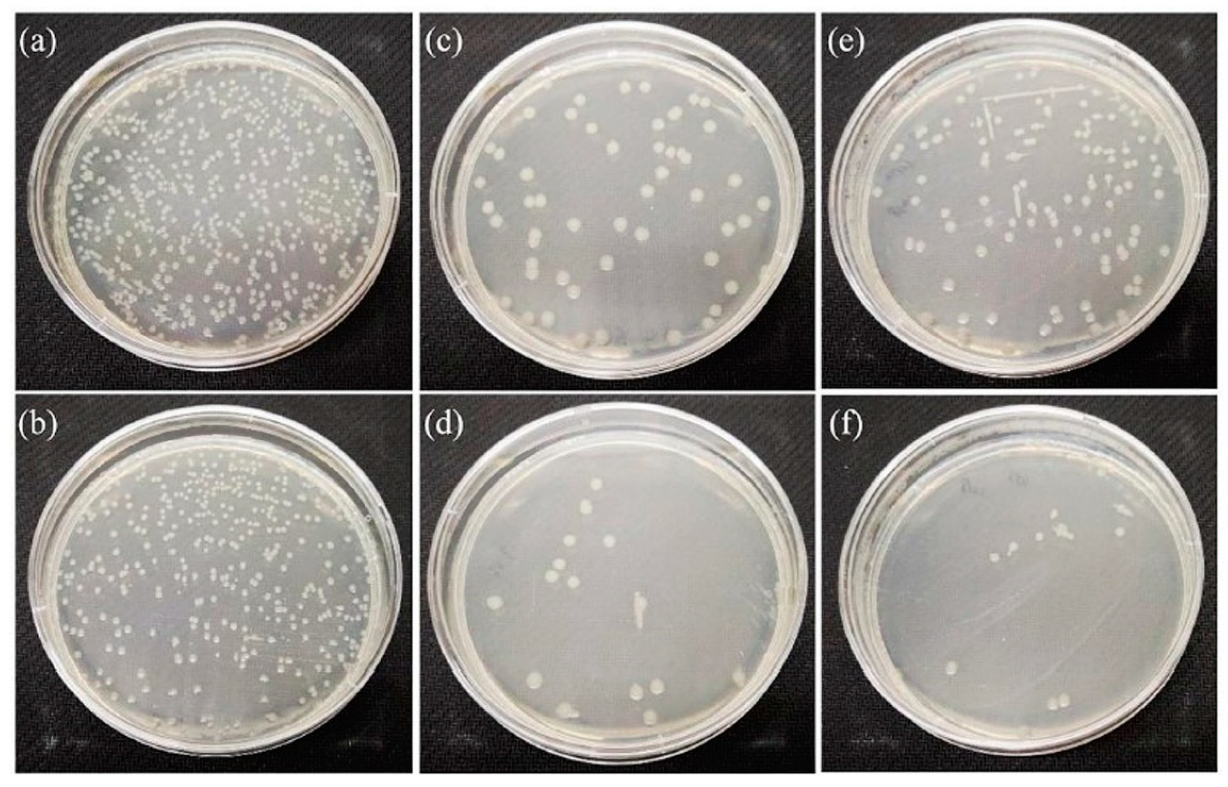 Applsci 15 04553 g013