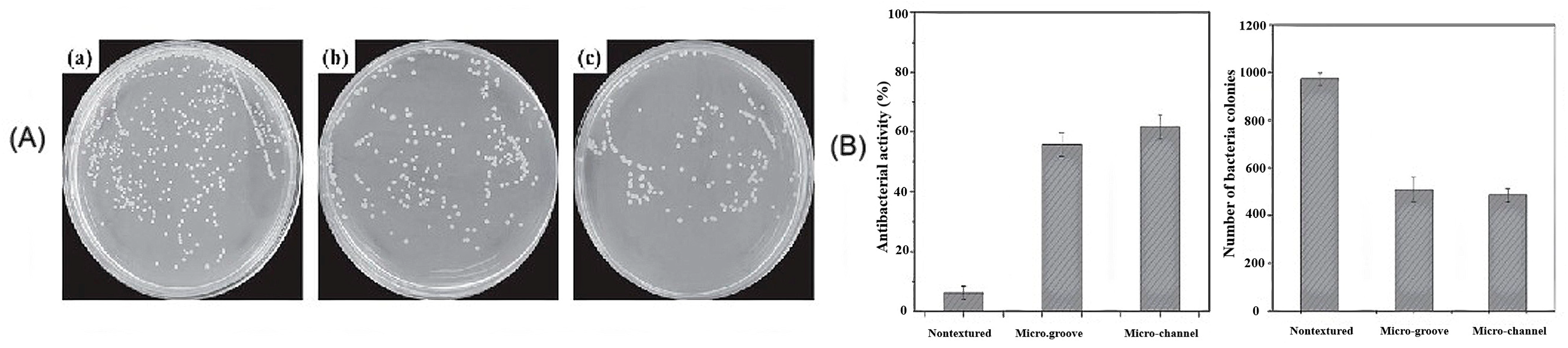 Applsci 15 04553 g016