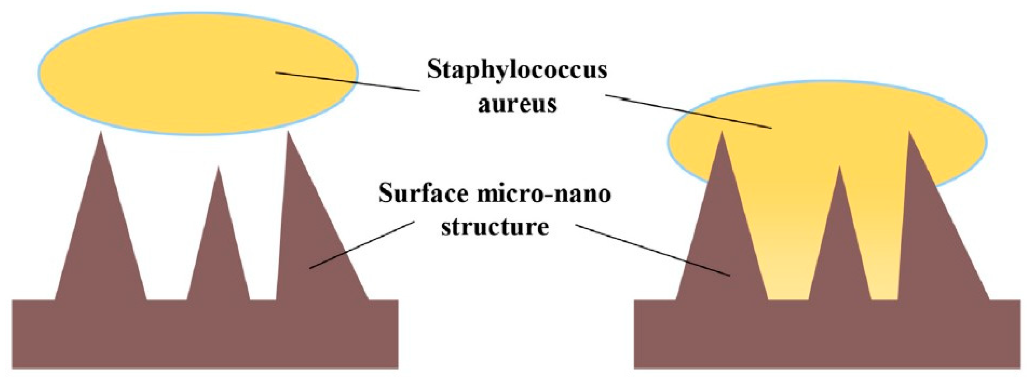 Applsci 15 04553 g018