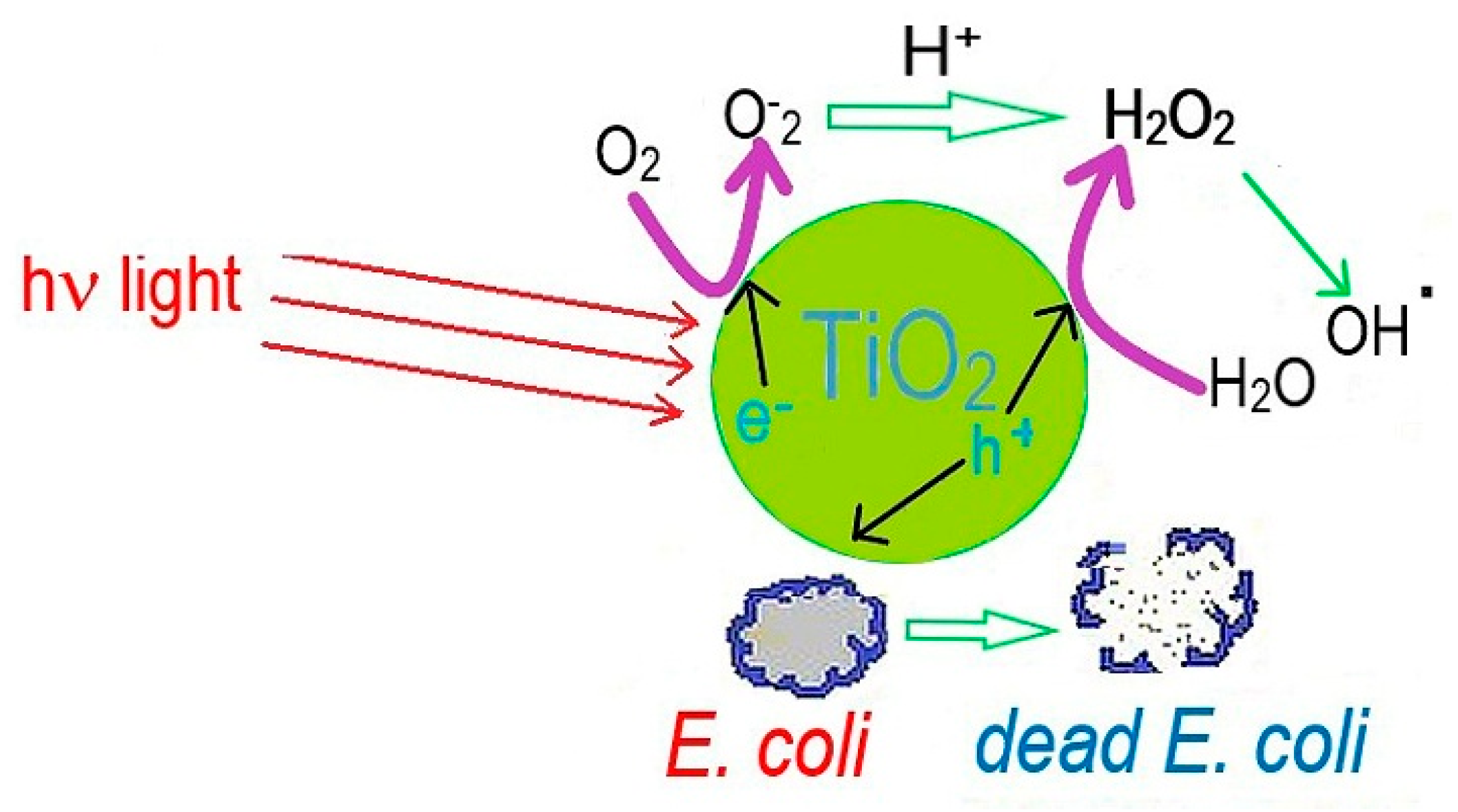 Applsci 15 04553 g020