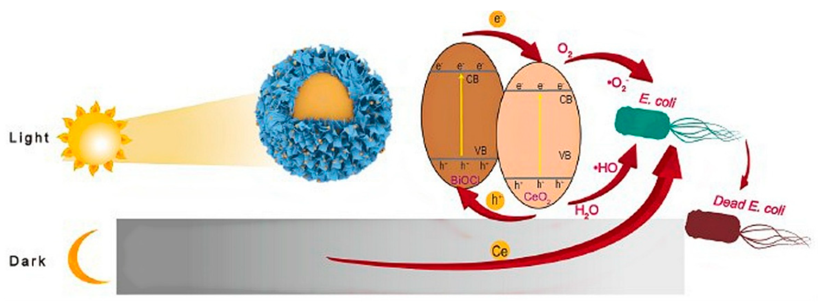 Applsci 15 04553 g021