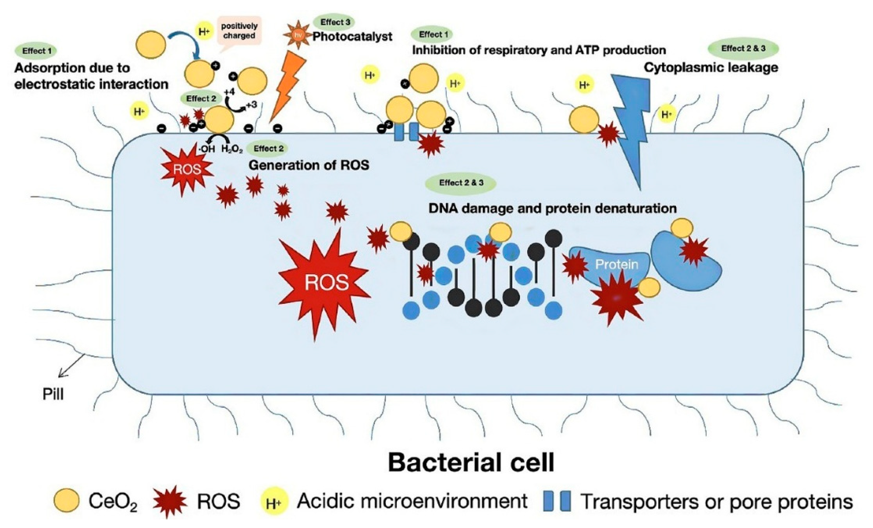 Applsci 15 04553 g022
