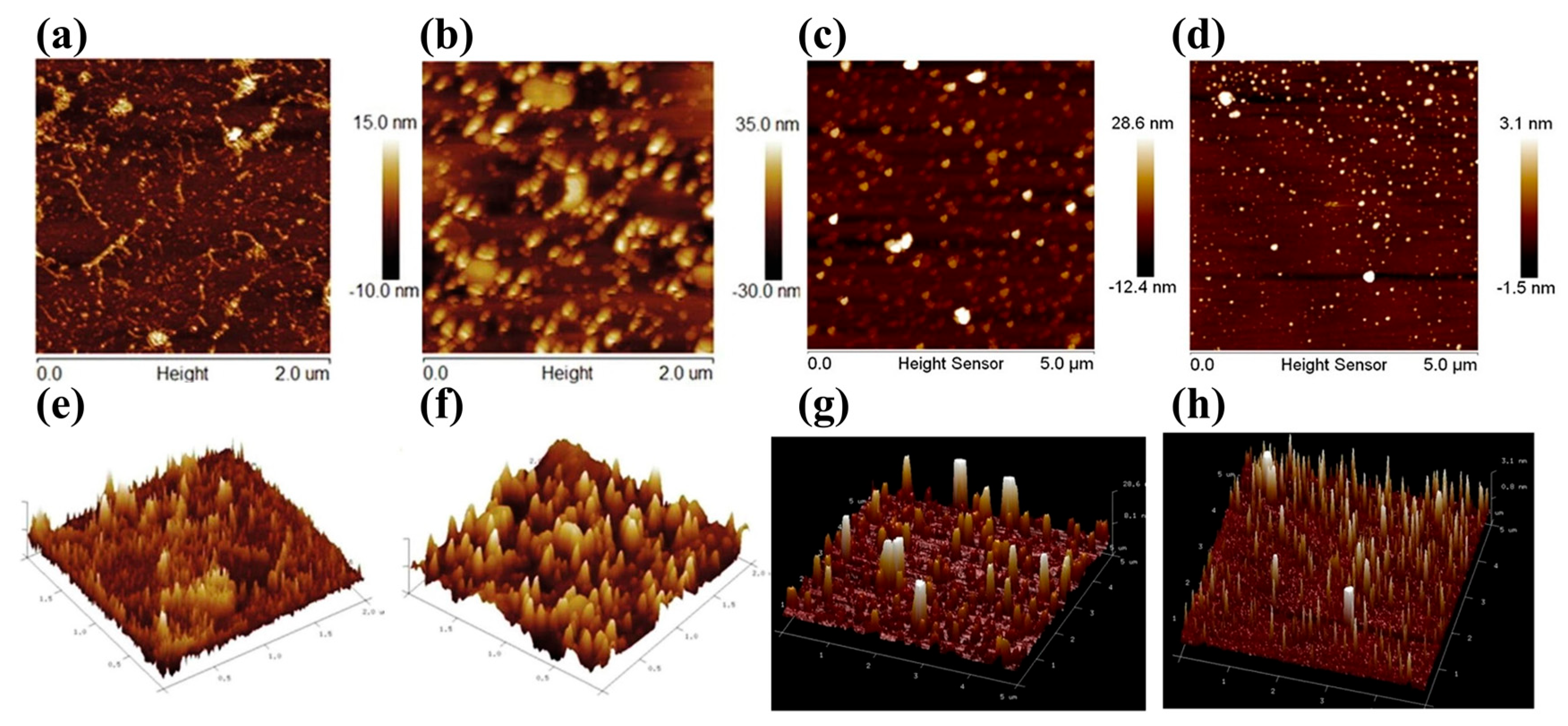 Applsci 15 04557 g002