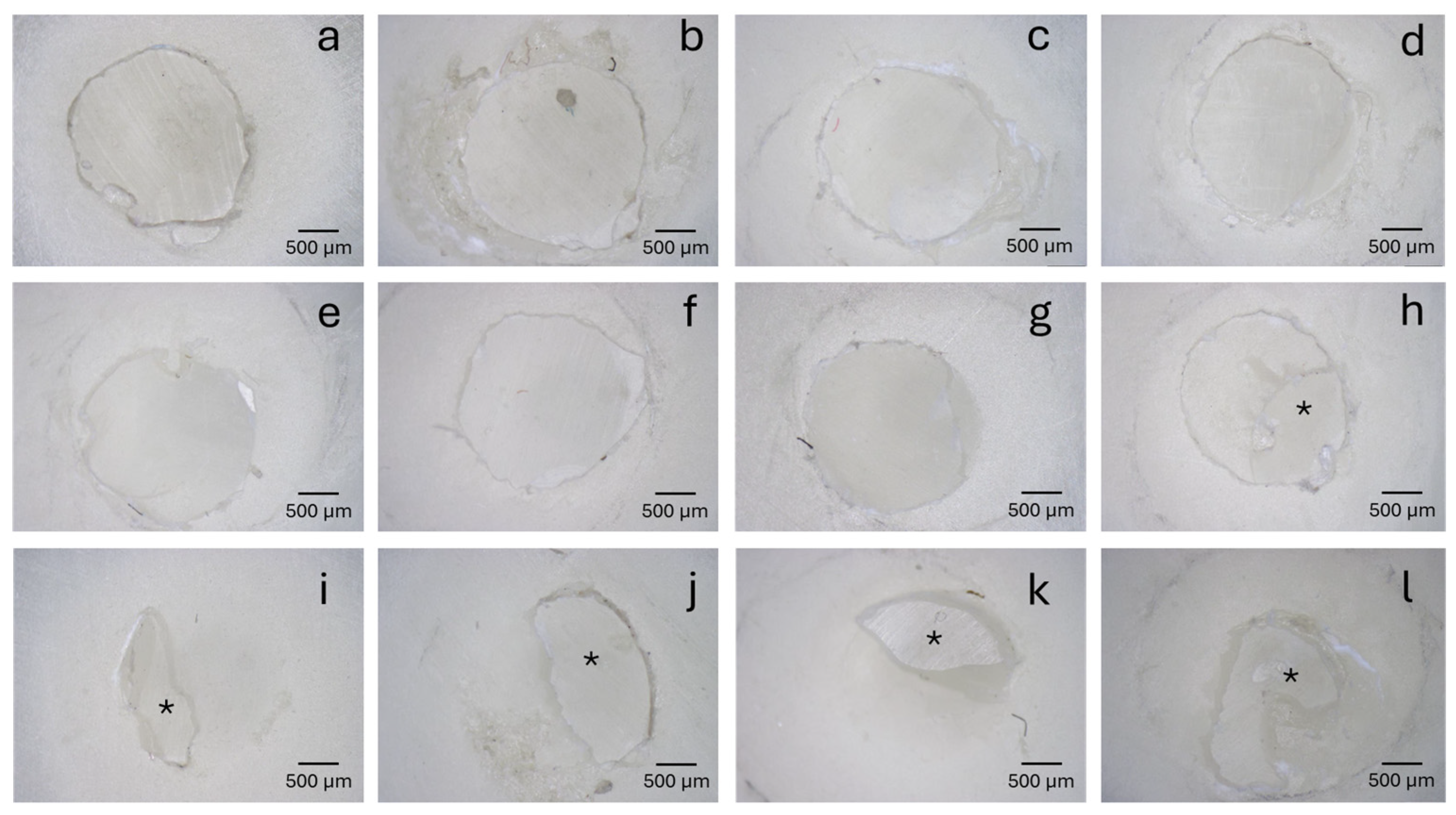 Applsci 15 04561 g004