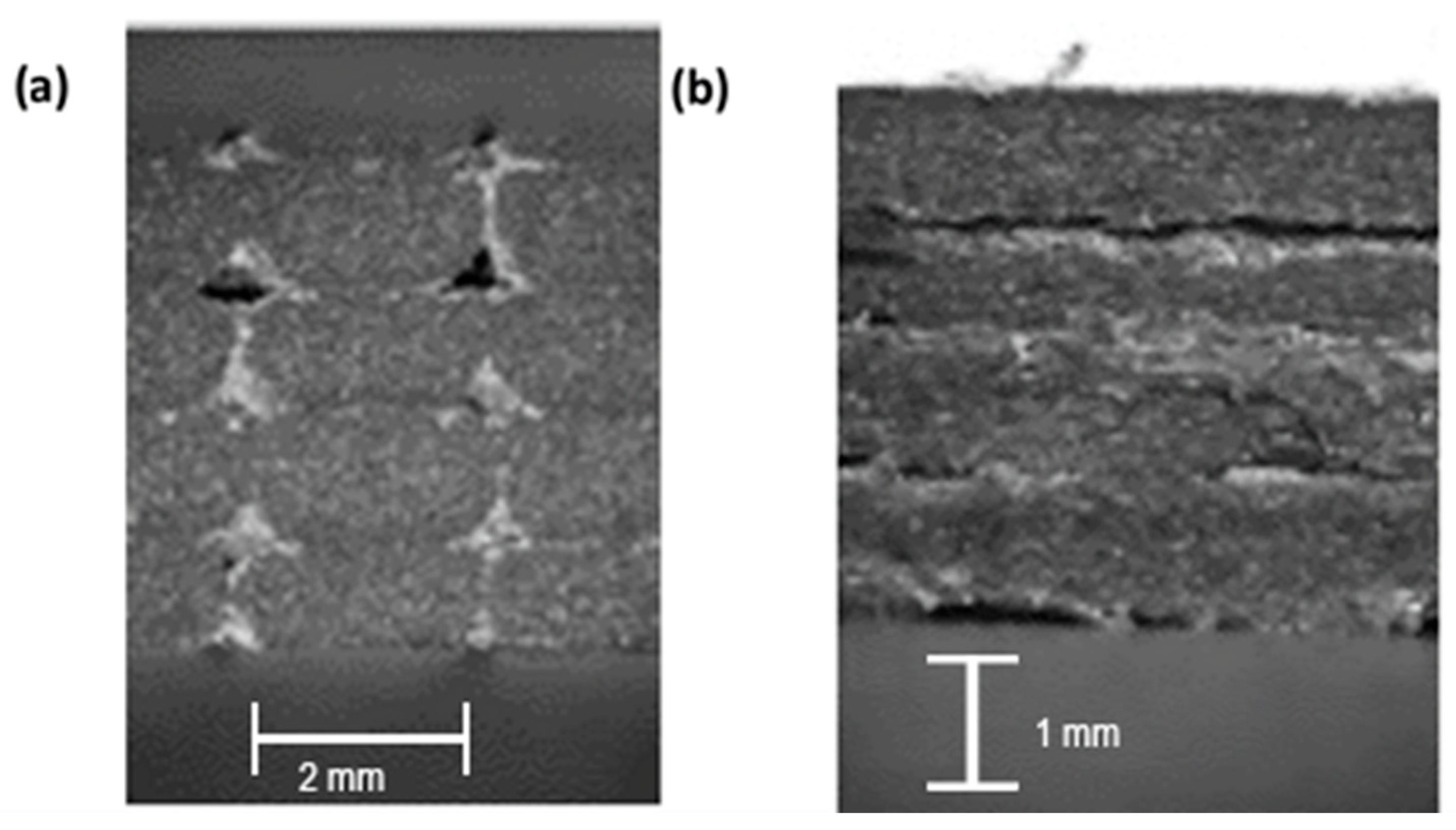 Applsci 15 04572 g003