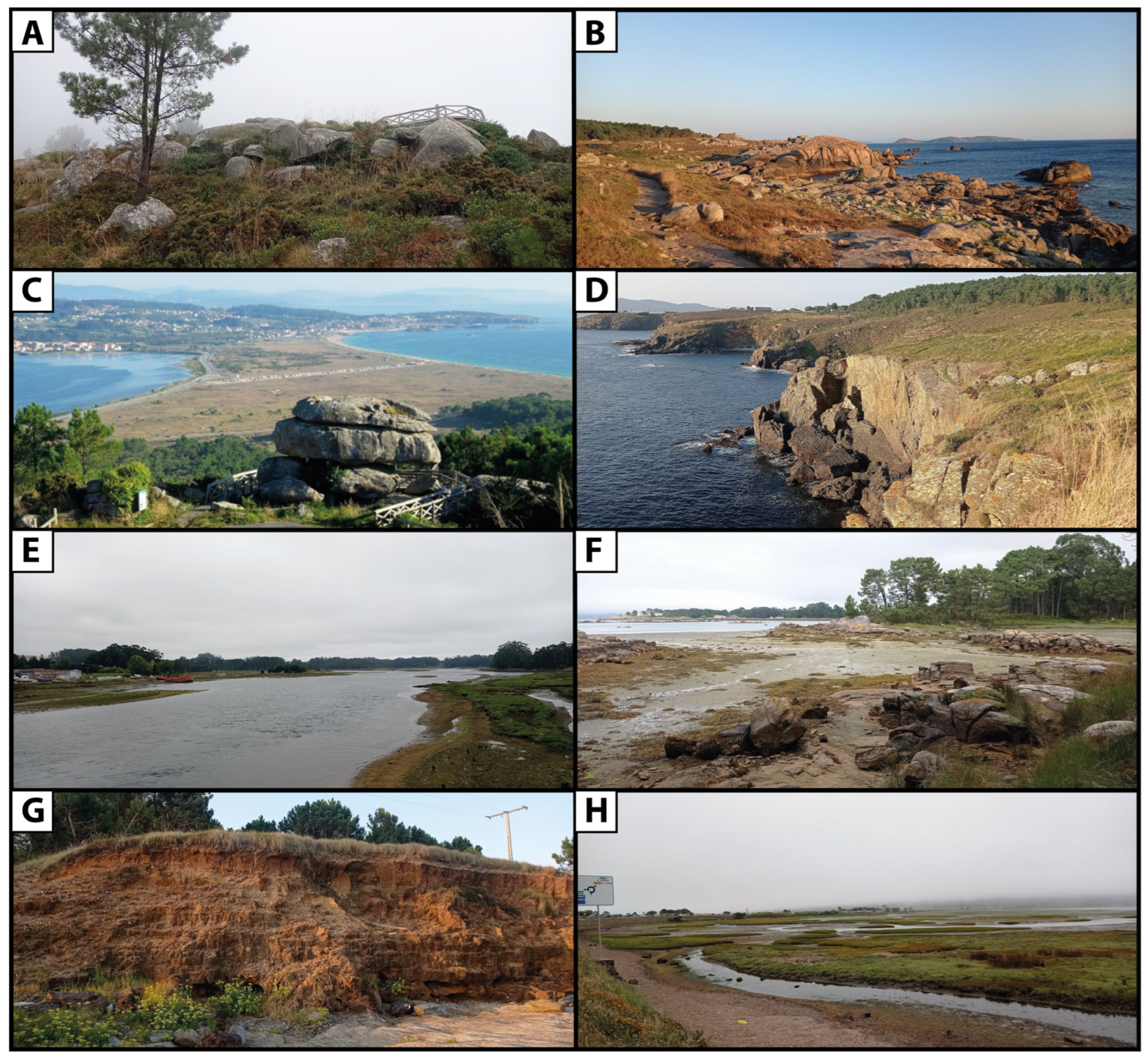 Applsci 15 04582 g006