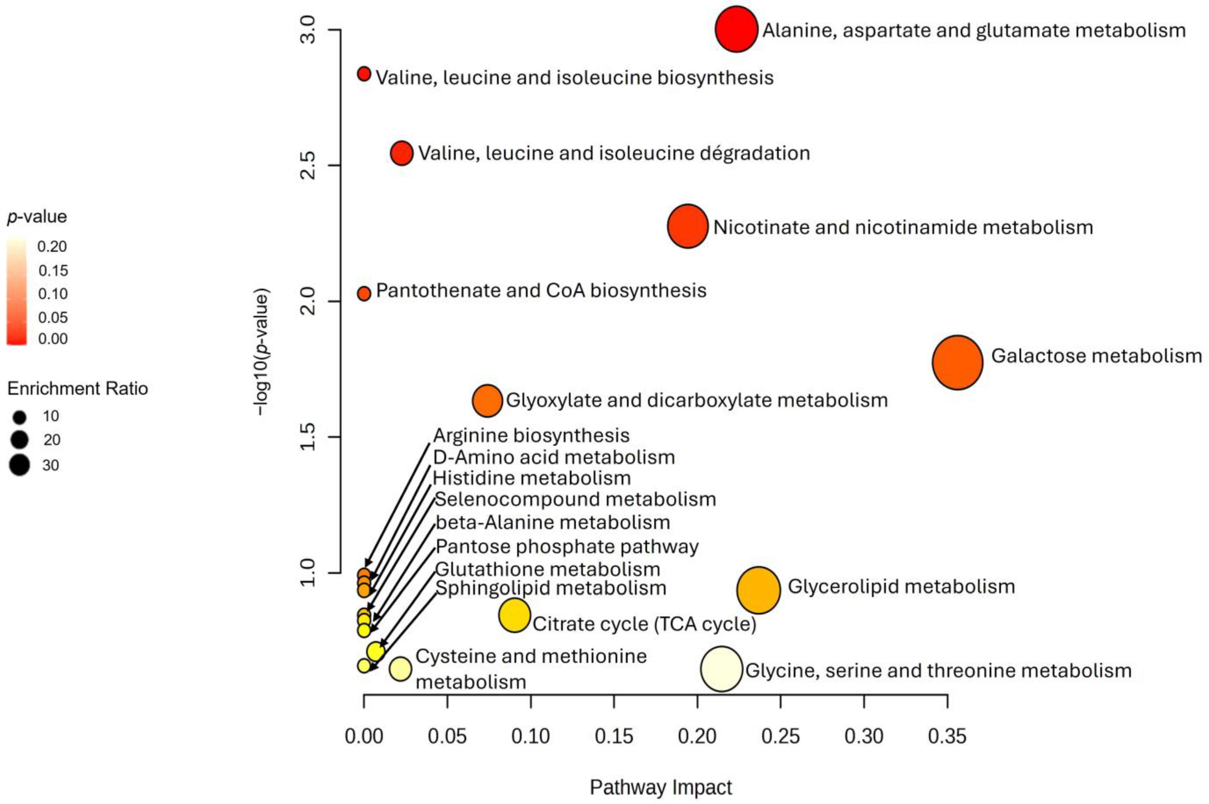 Applsci 15 04588 g005
