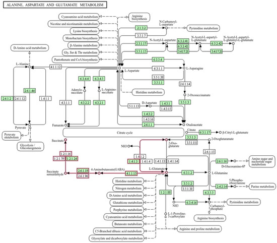Metabolomics Approach for Sweat Mapping the Performance of