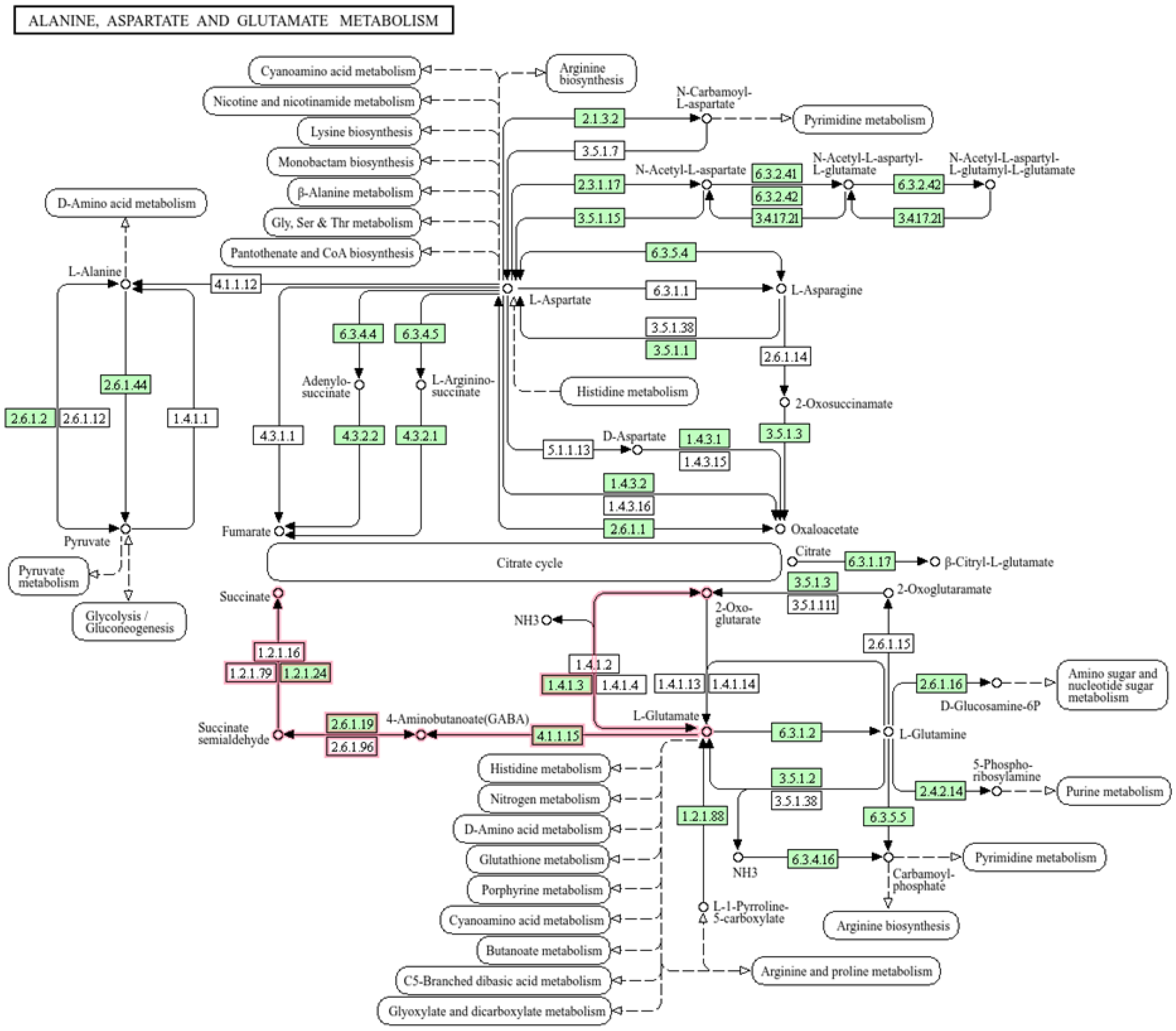 Applsci 15 04588 g006