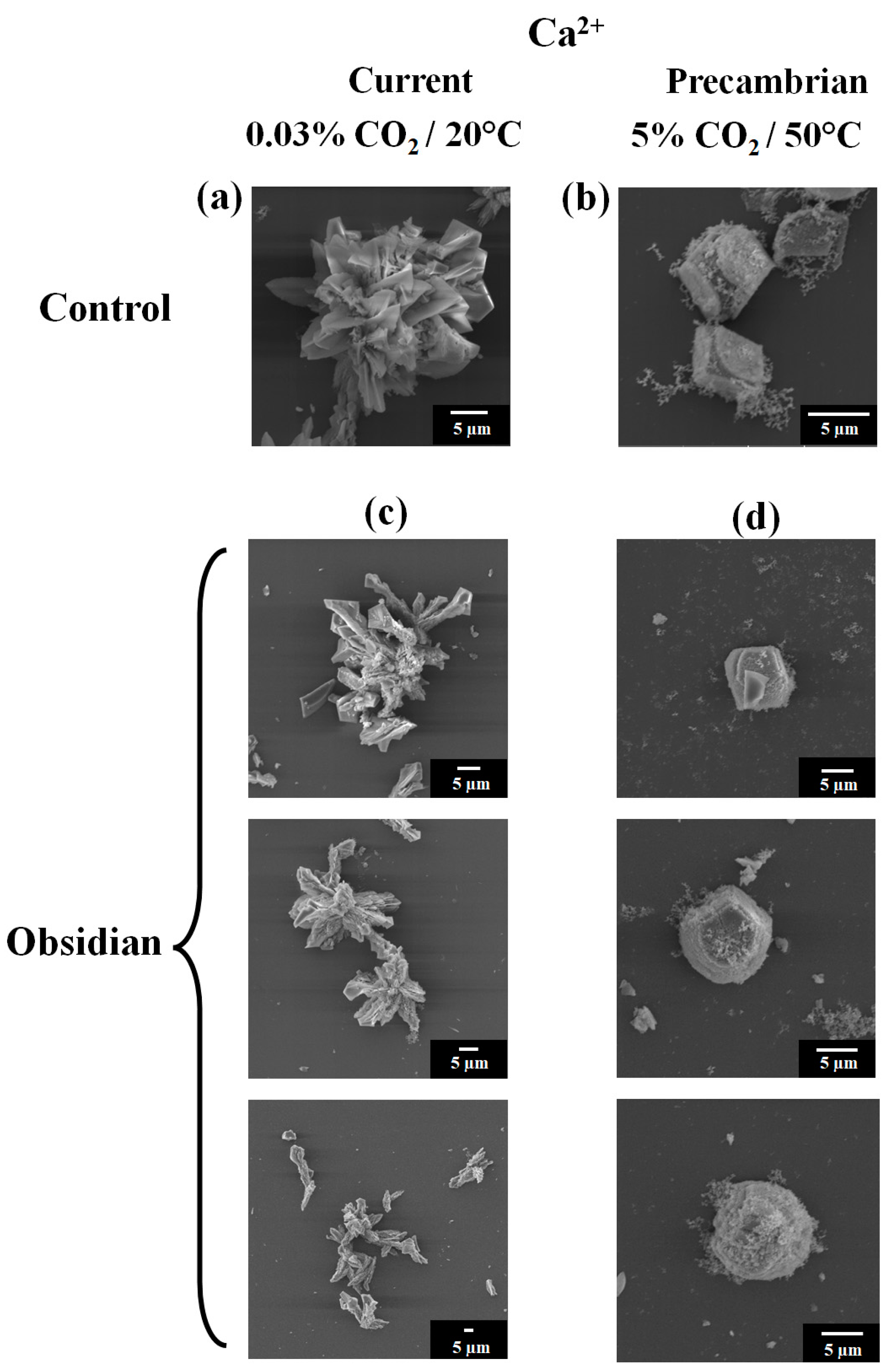 Applsci 15 04593 g001