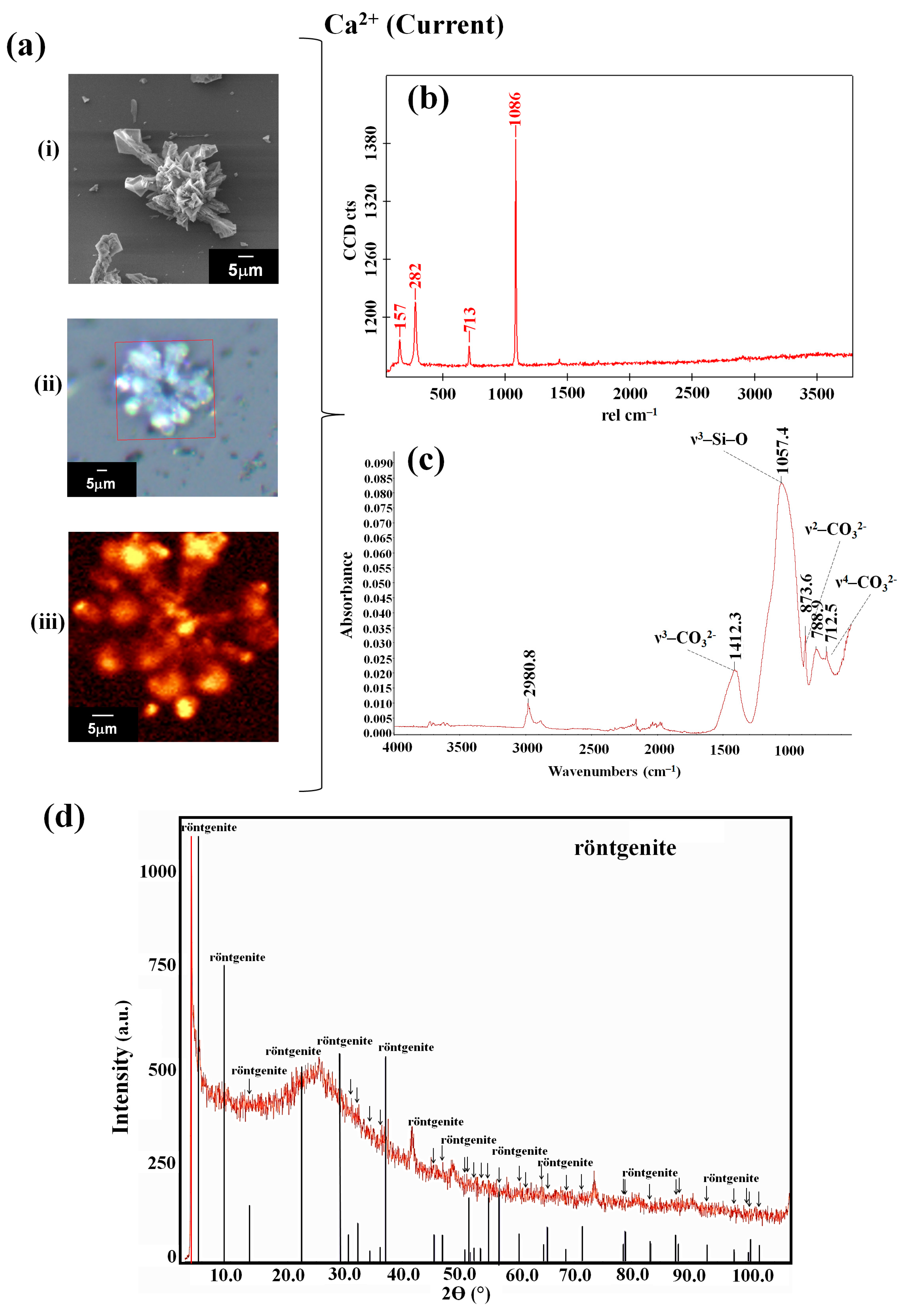 Applsci 15 04593 g002