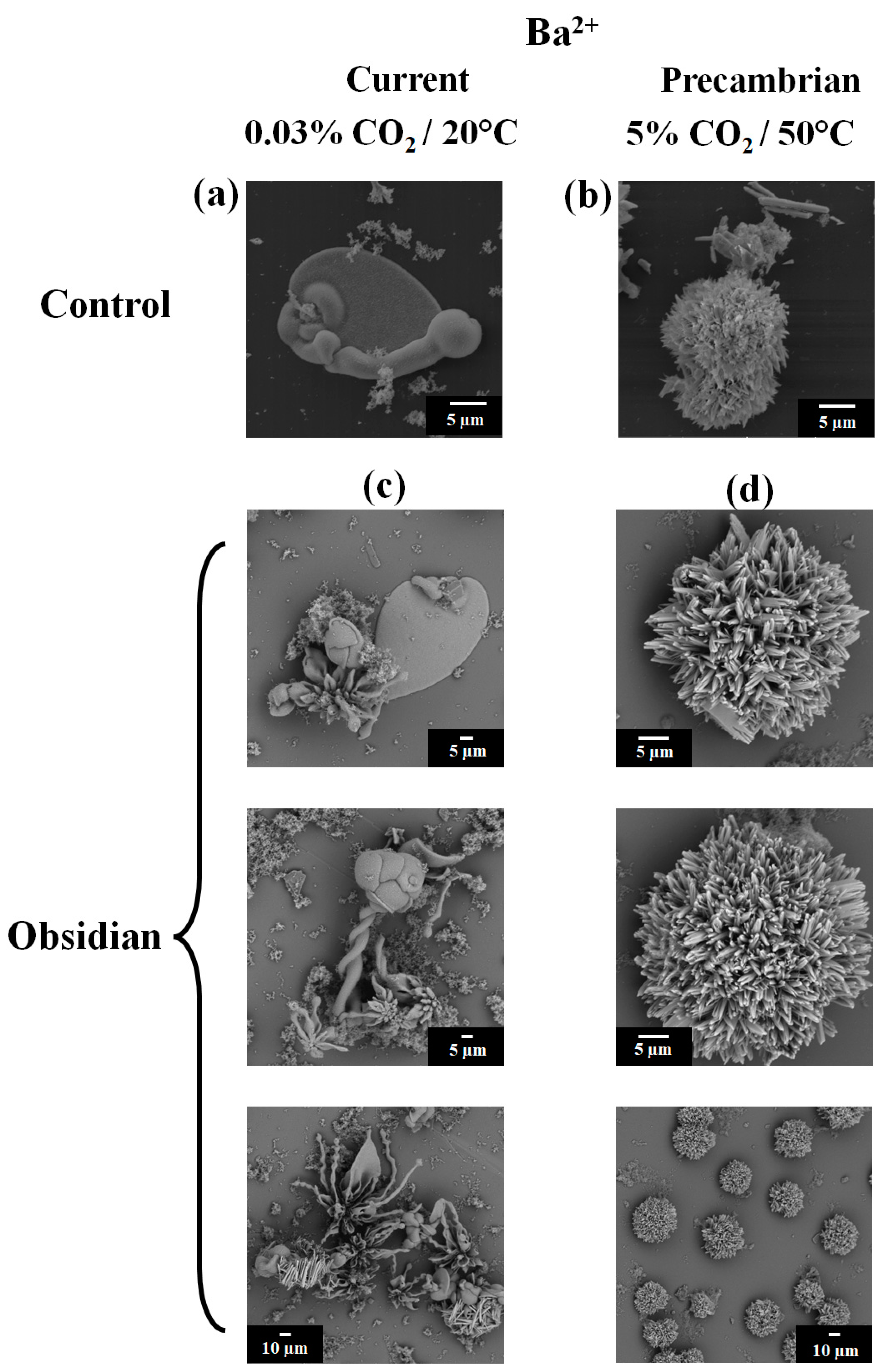 Applsci 15 04593 g004