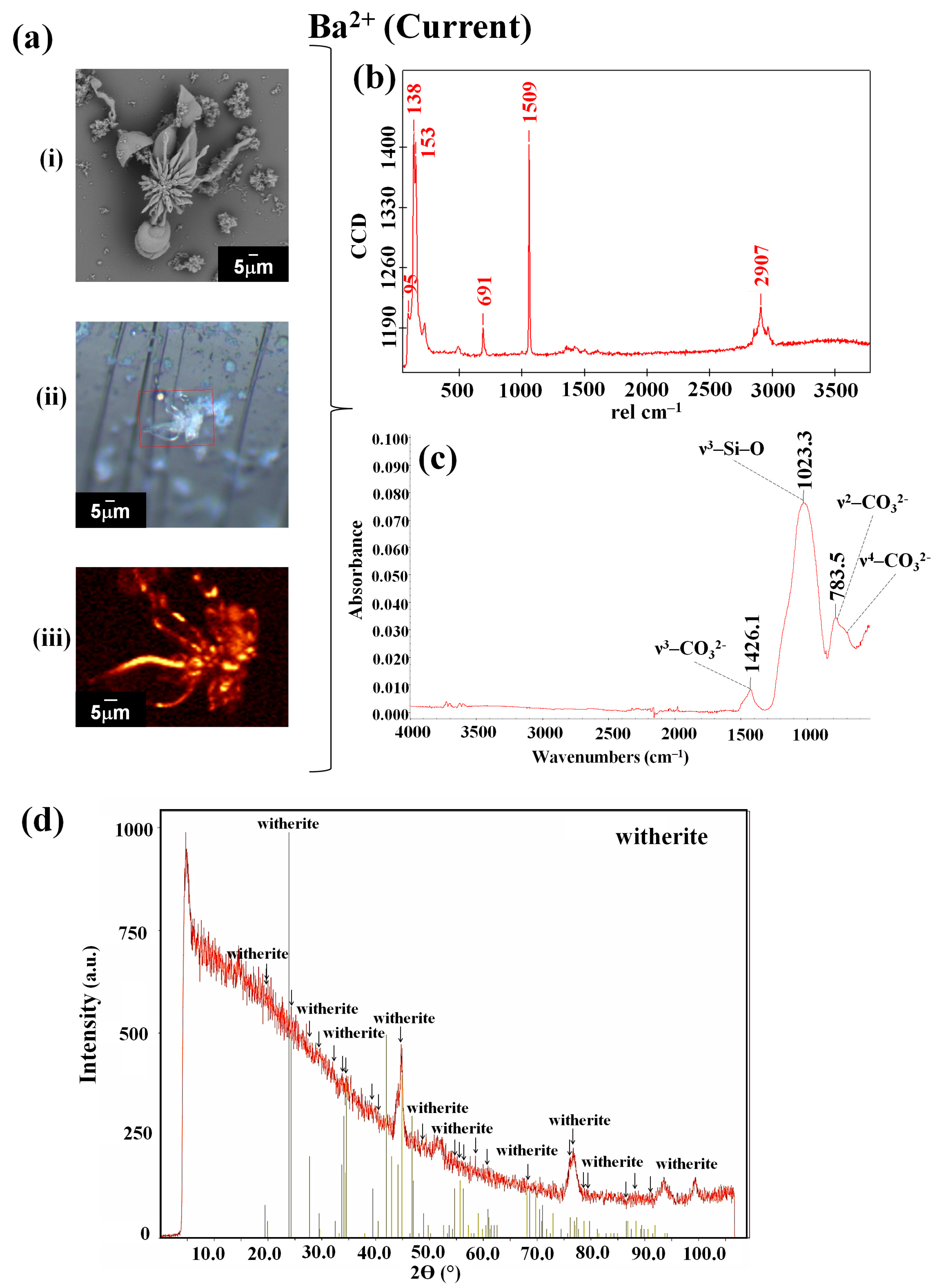 Applsci 15 04593 g005
