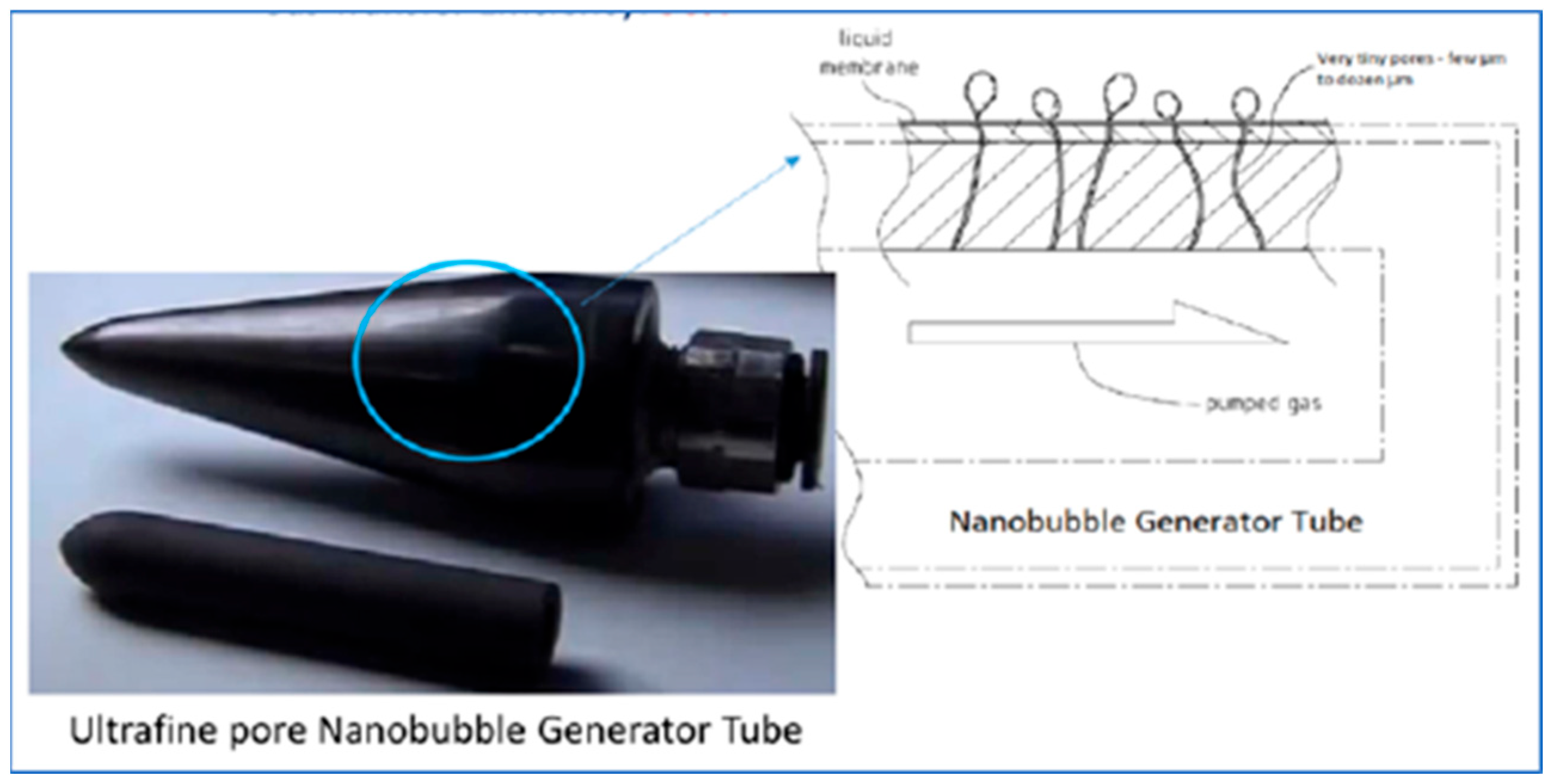 Applsci 15 04618 g001