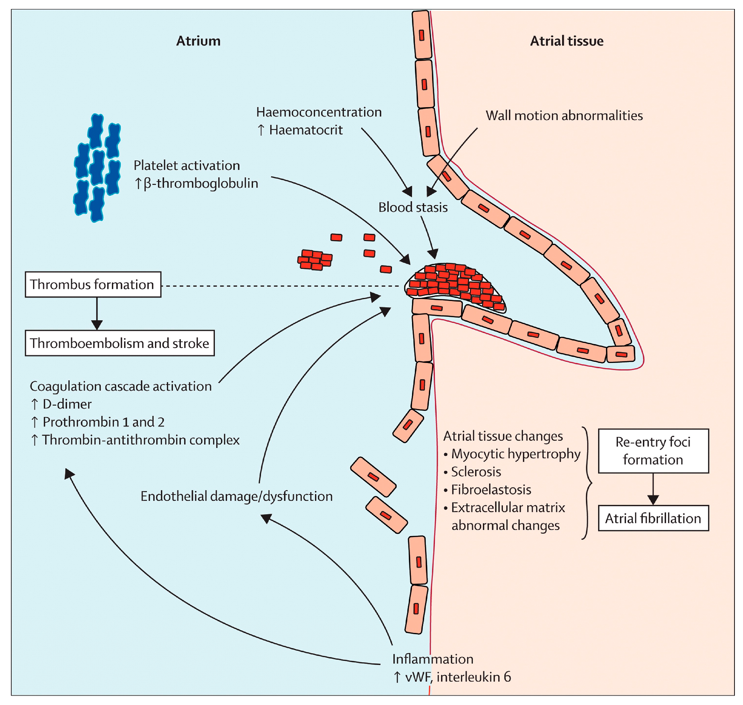 Applsci 15 04633 g001