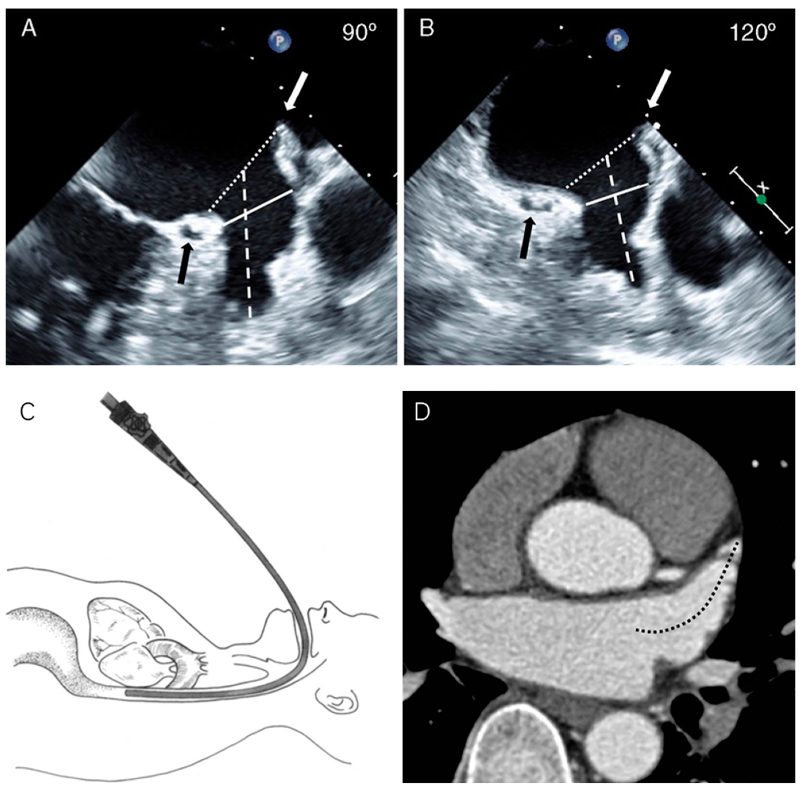 Applsci 15 04633 g002