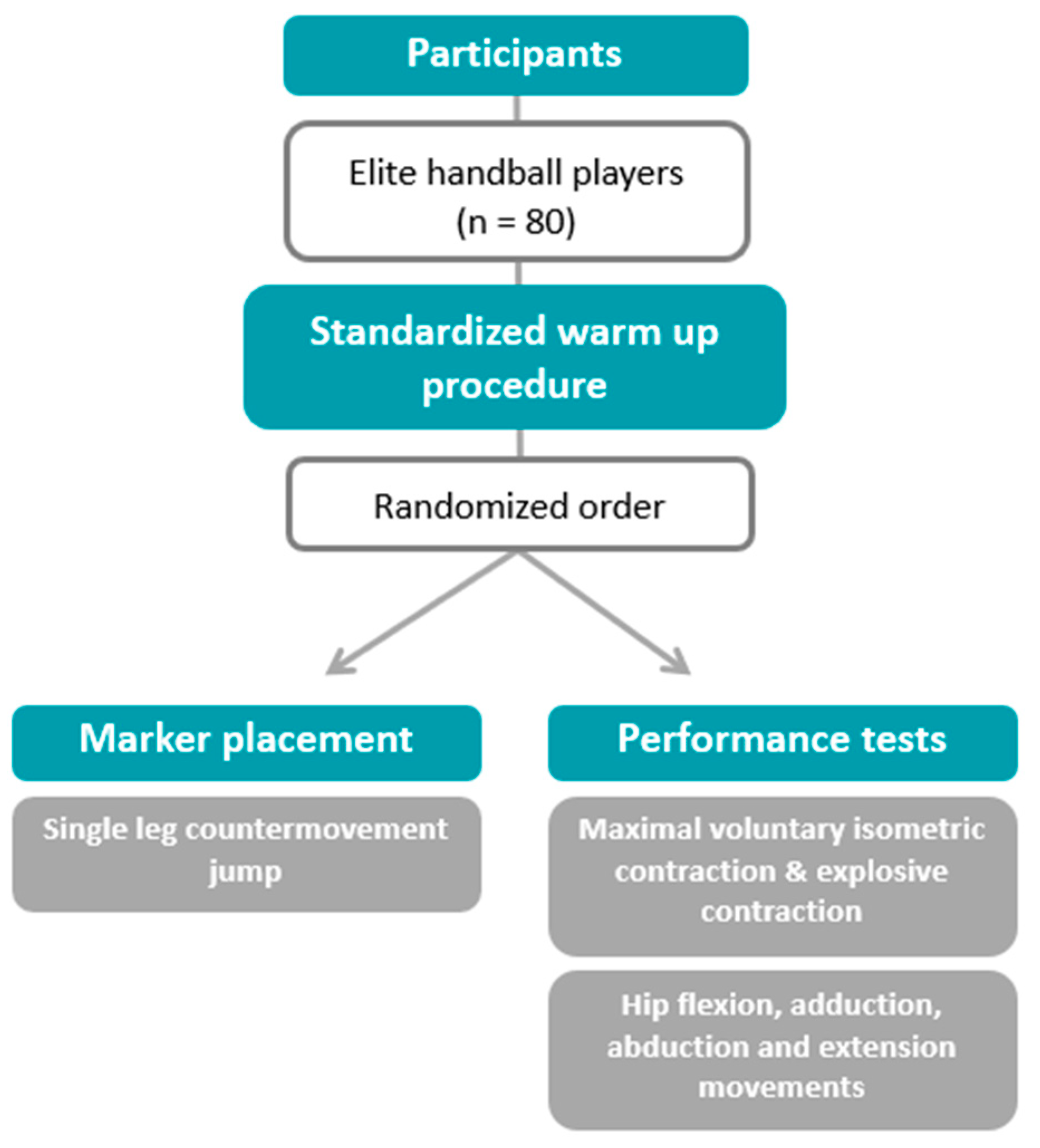 Applsci 15 04651 g001