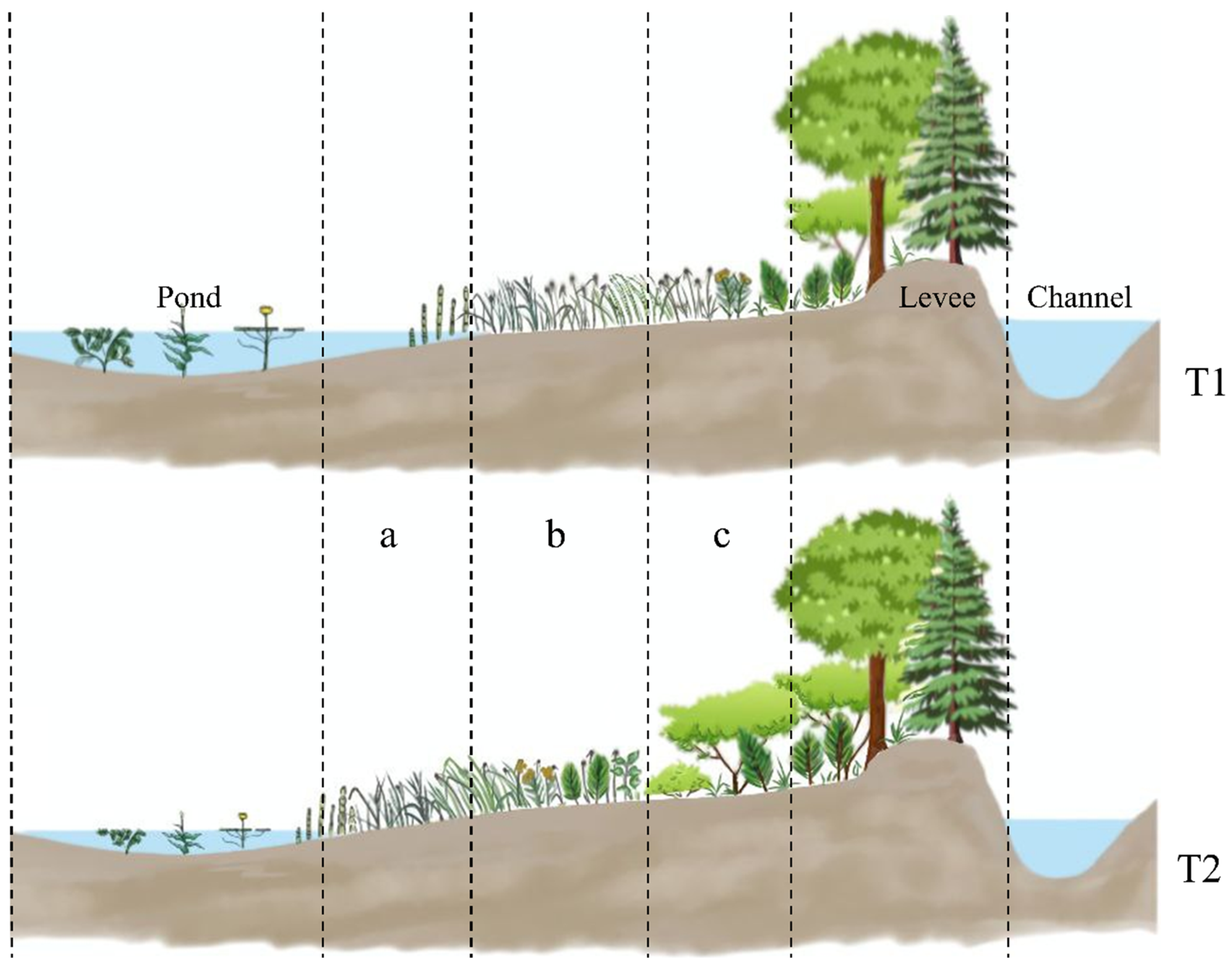 Applsci 15 04653 g011