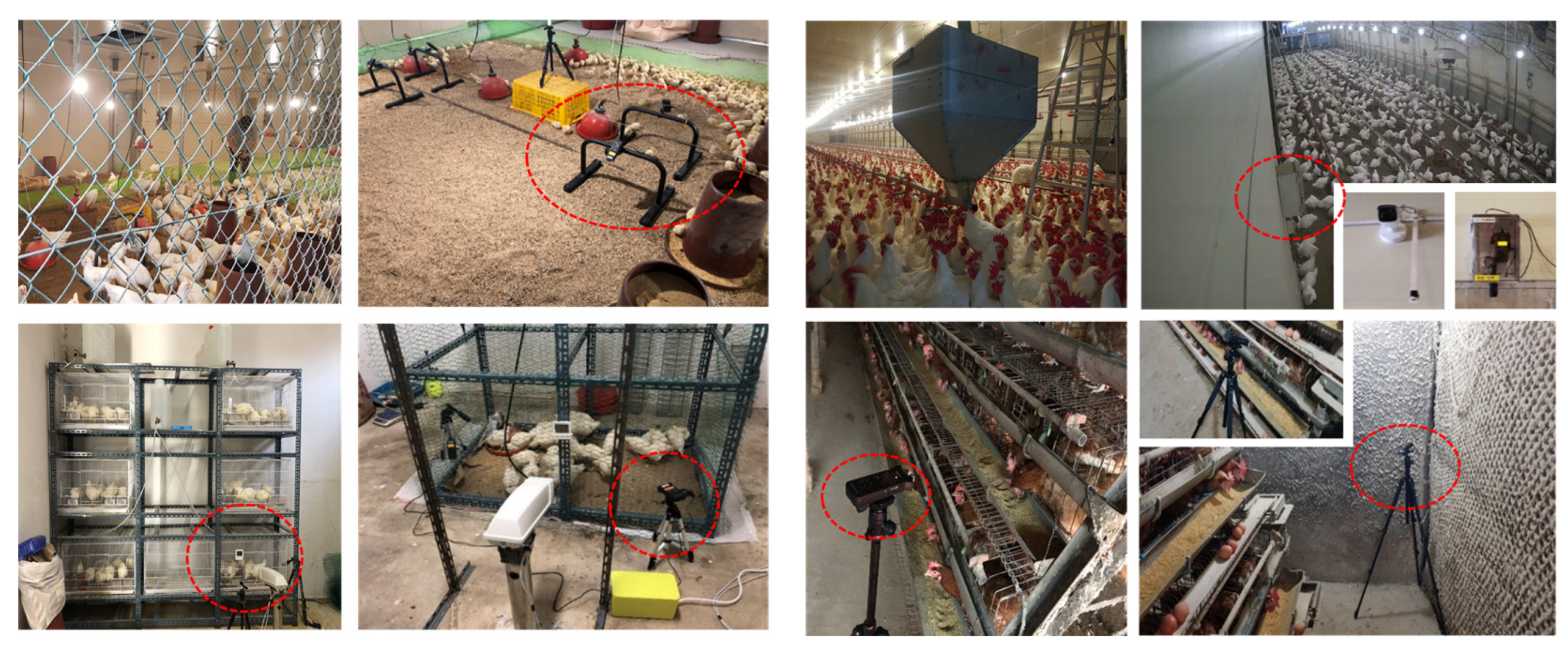 Applsci 15 04679 g010