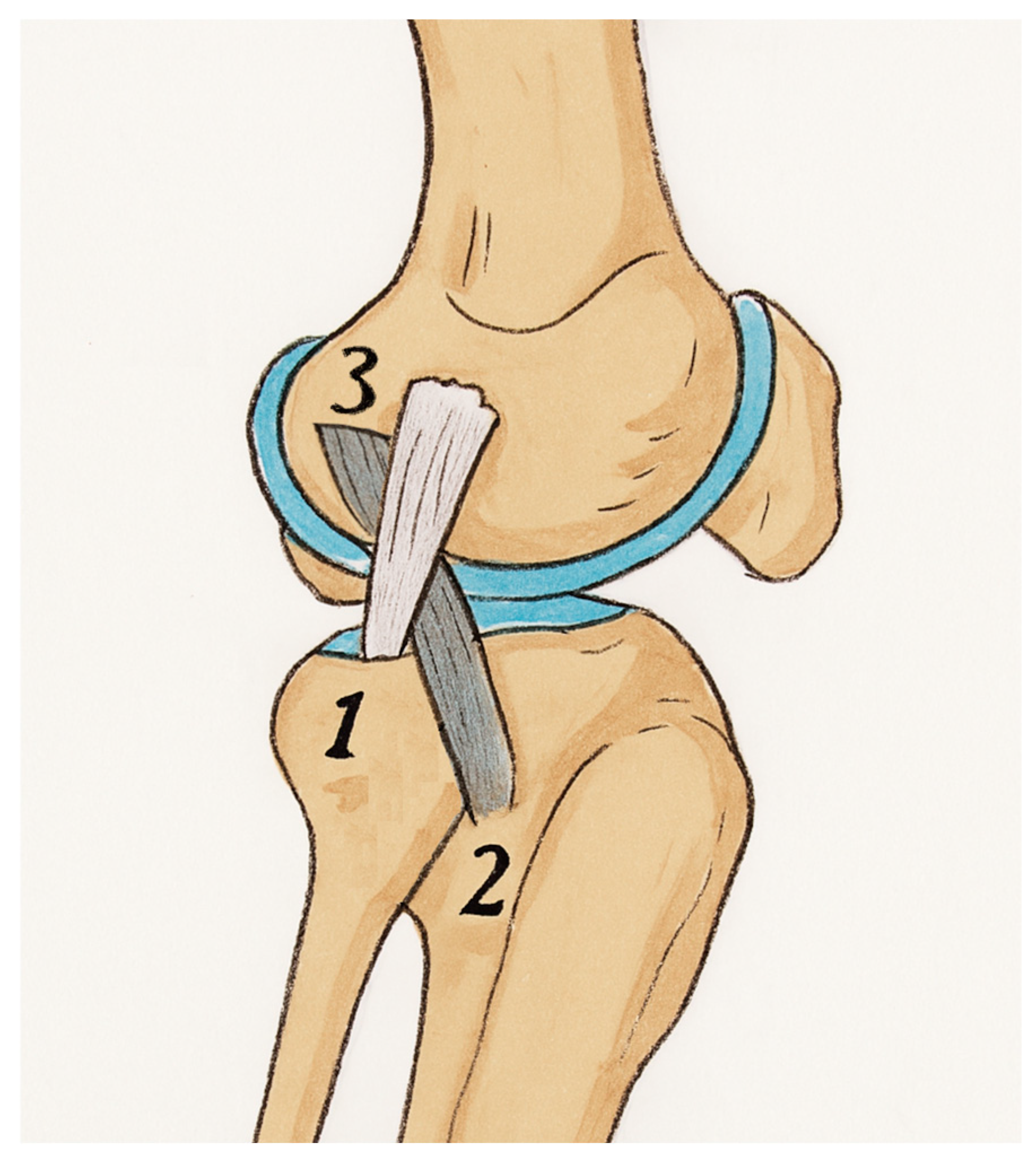 Applsci 15 04702 g001 Applsci 15 04702 g001