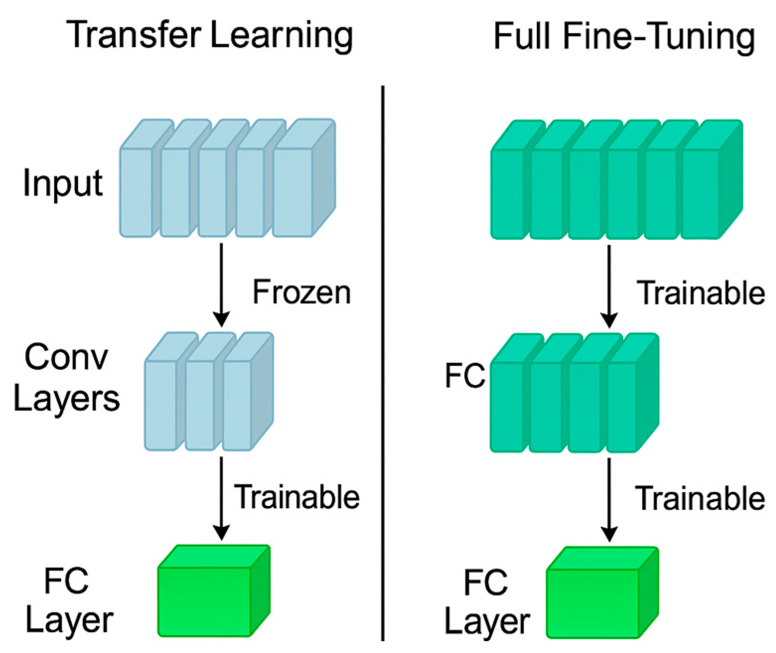 Applsci 15 04725 g006