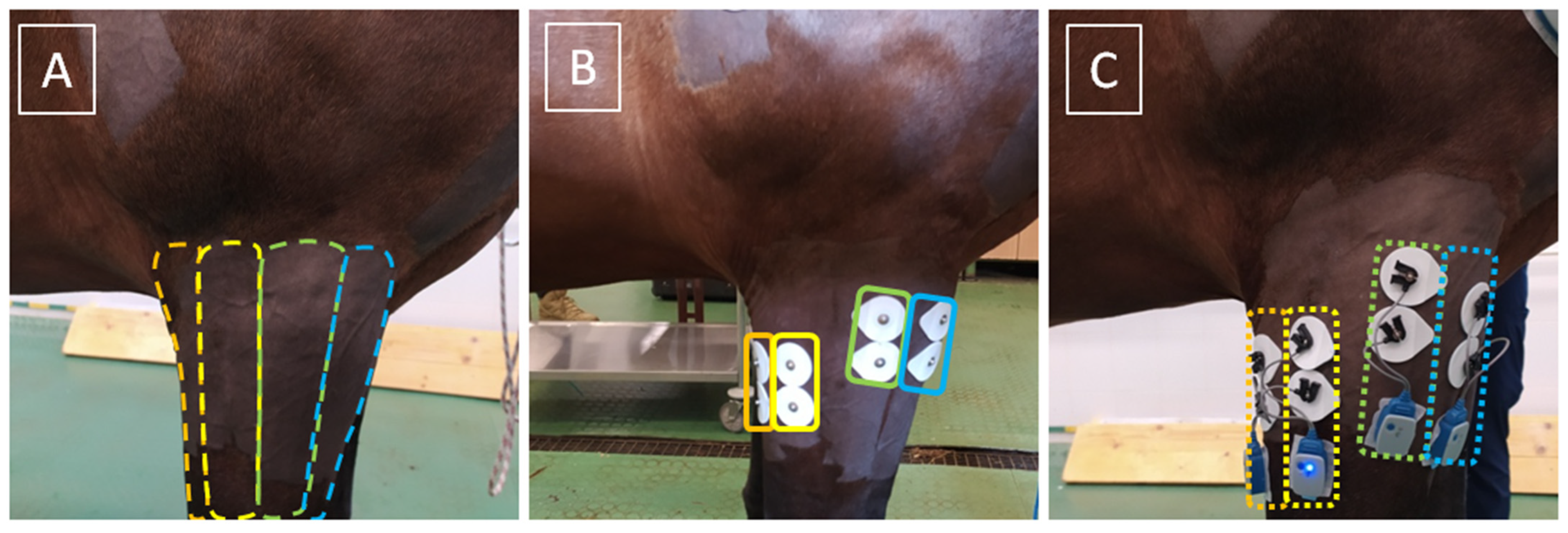 Applsci 15 04737 g001