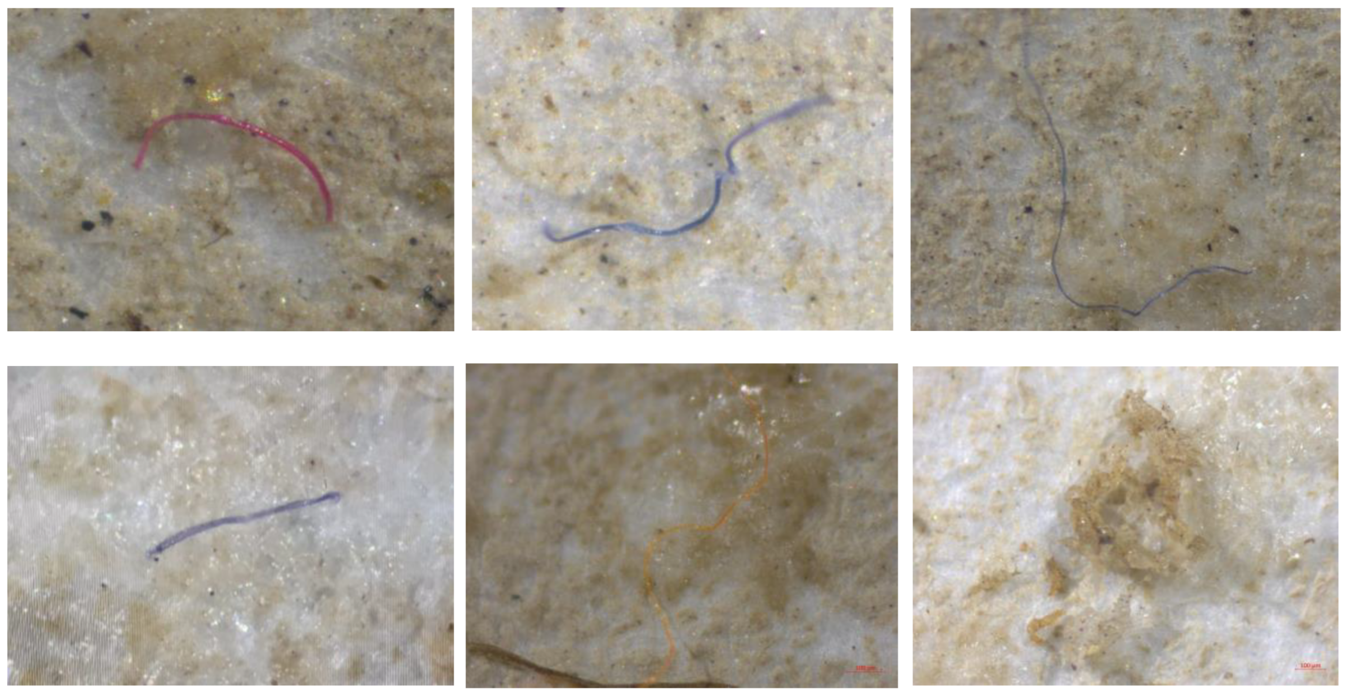 Applsci 15 04751 g005 Applsci 15 04751 g005