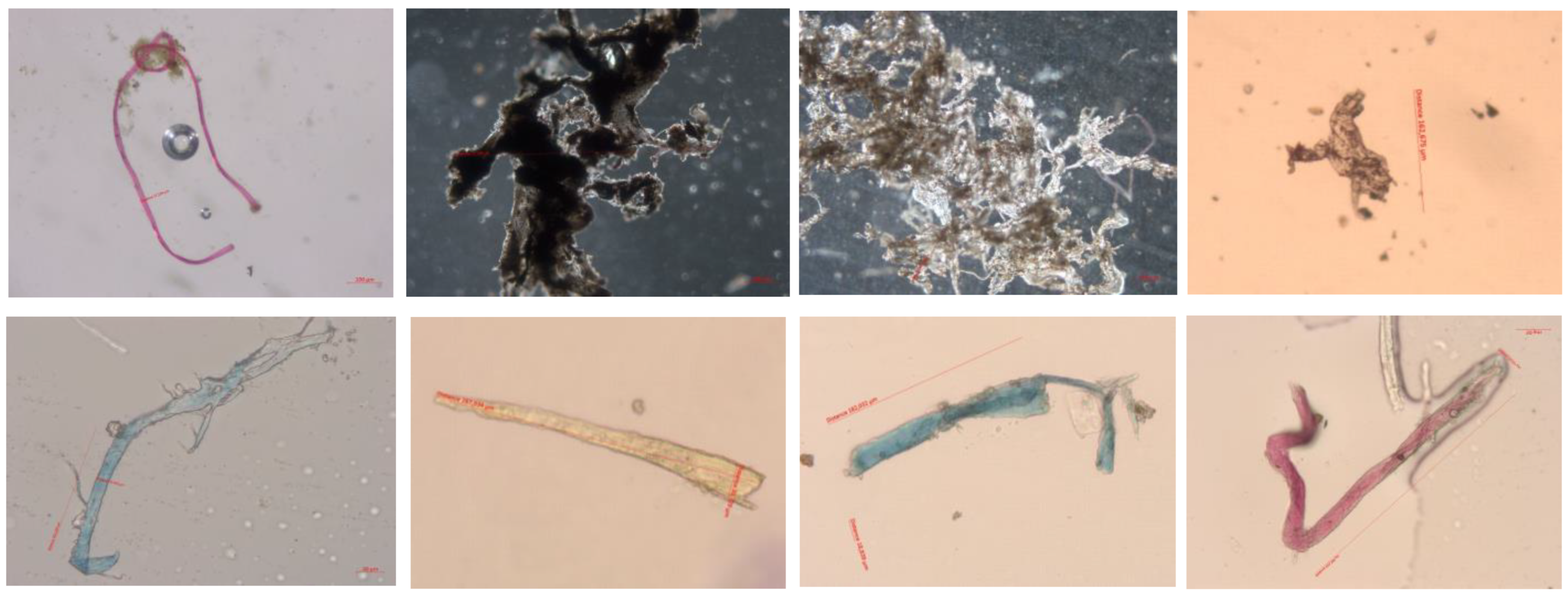 Applsci 15 04751 g006 Applsci 15 04751 g006