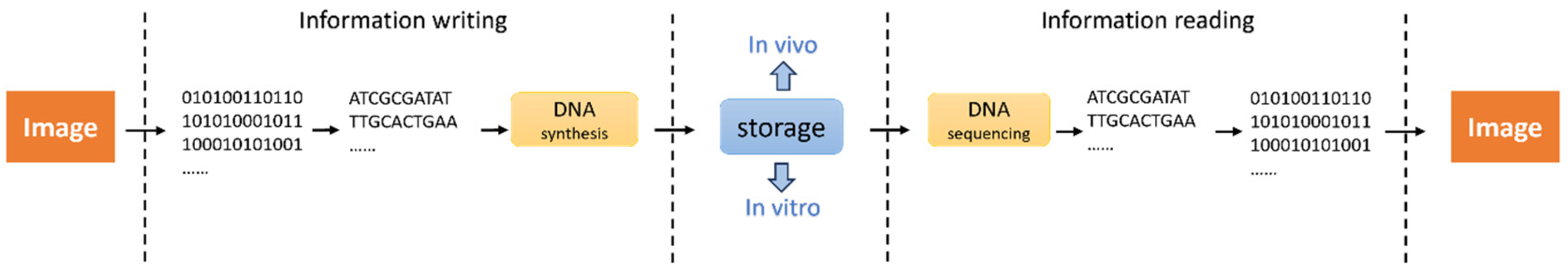 Applsci 15 04760 g001