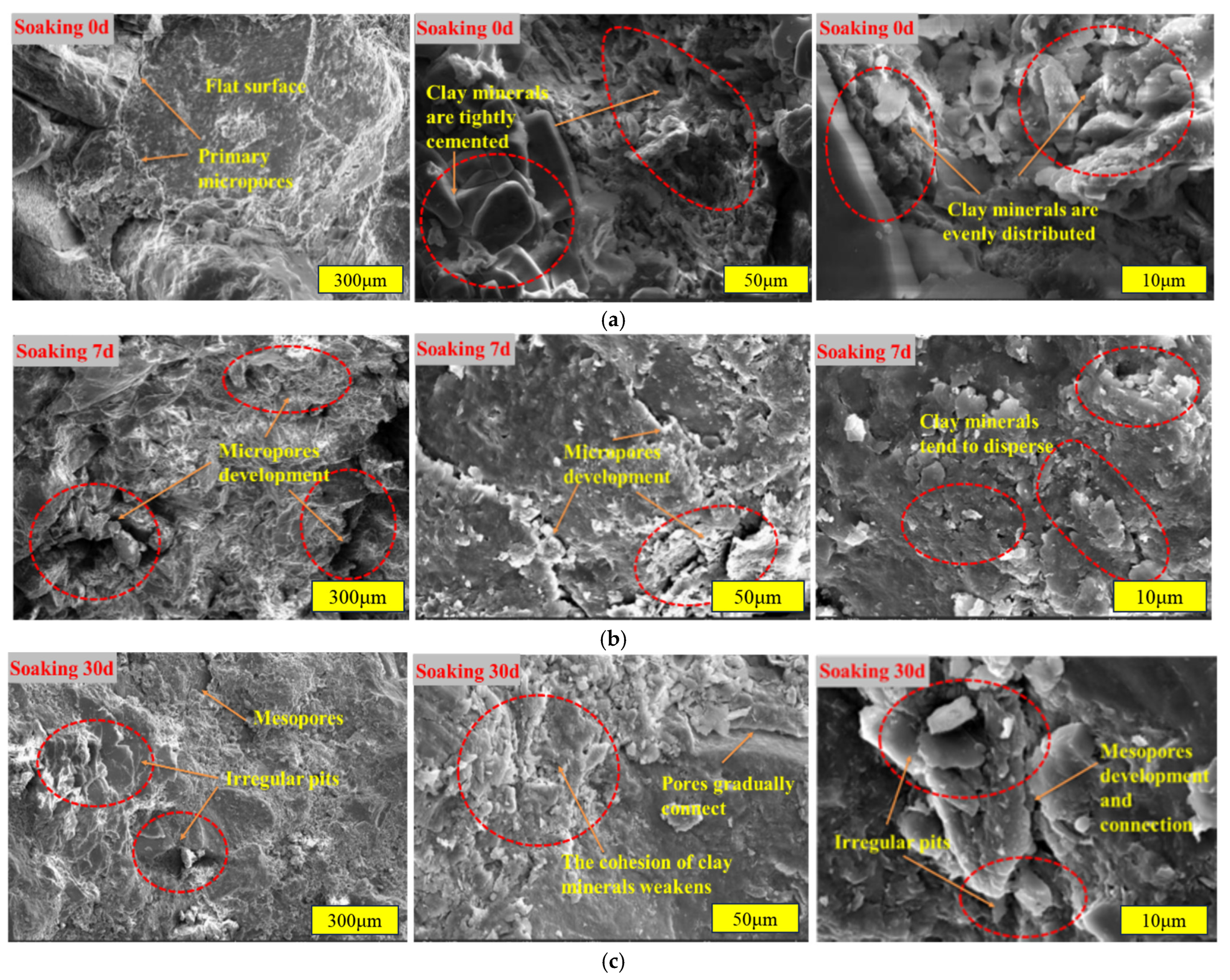 Applsci 15 04777 g006a