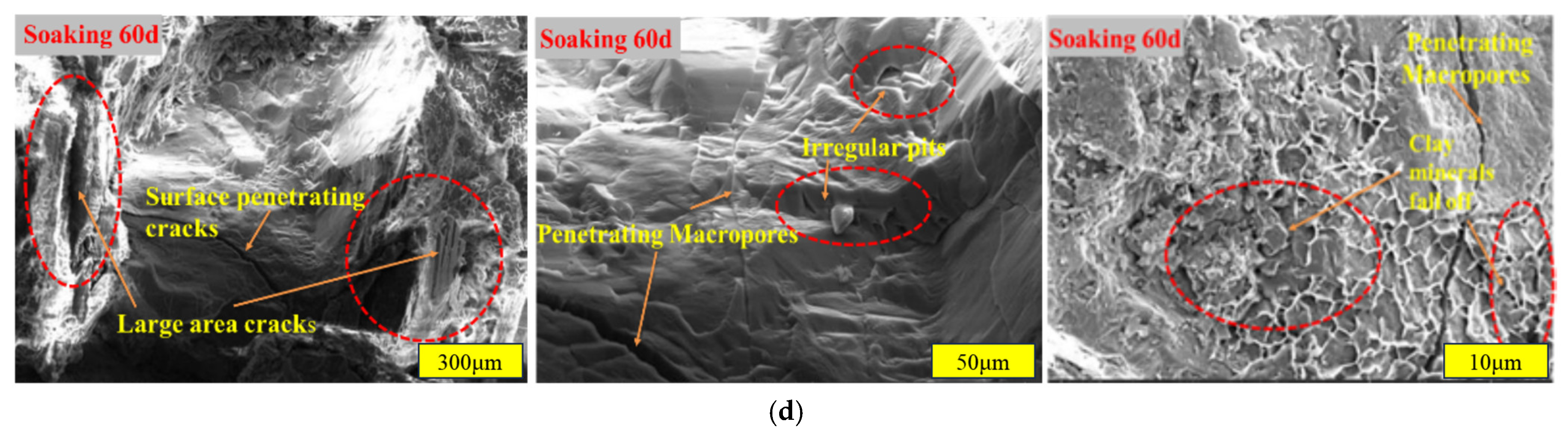 Applsci 15 04777 g006b