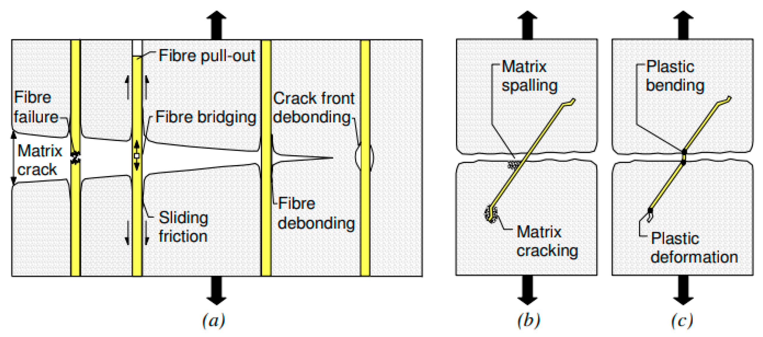 Applsci 15 04790 g003