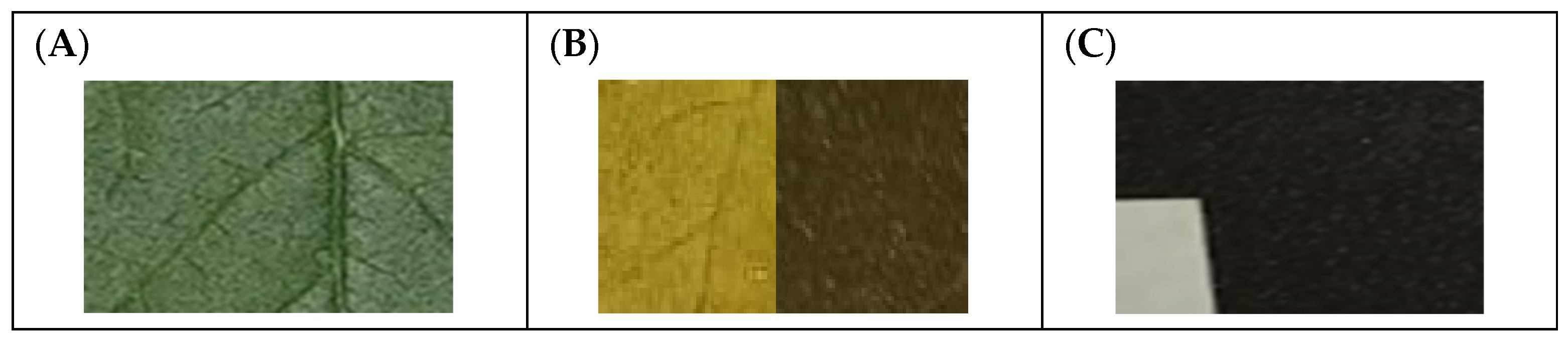 Applsci 15 04799 g002