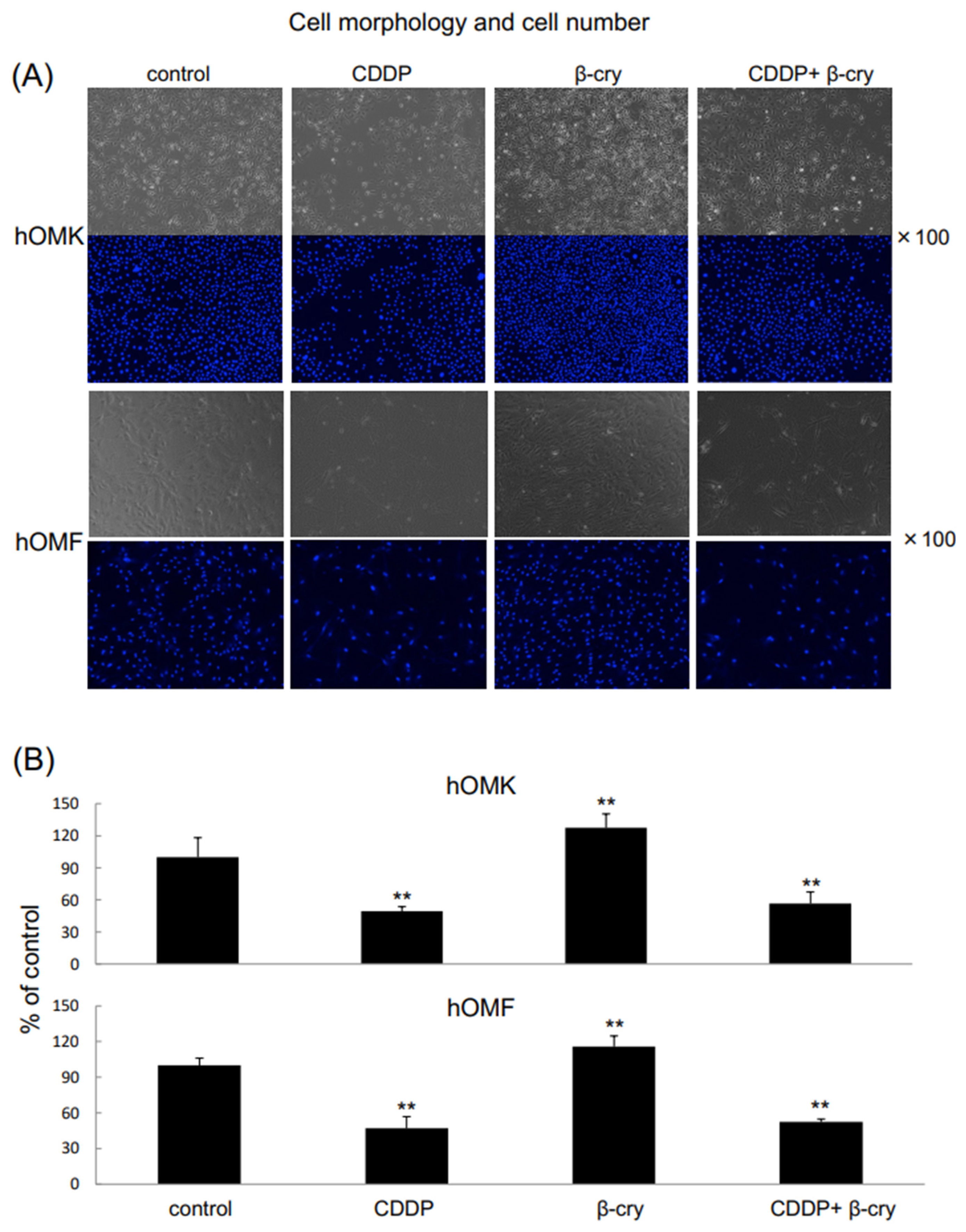 Applsci 15 04803 g001