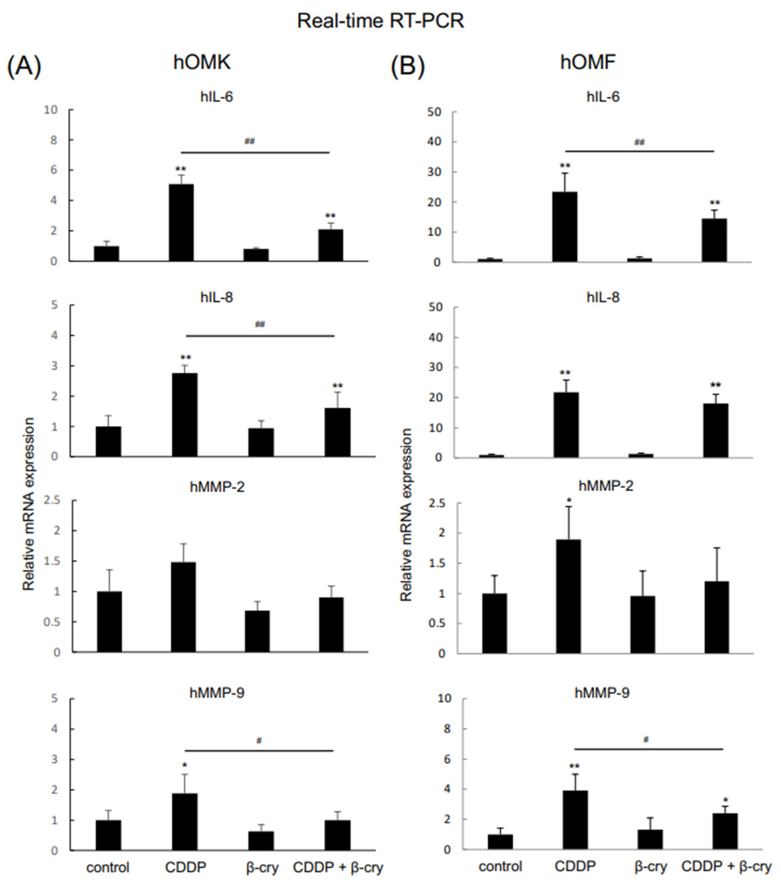 Applsci 15 04803 g002