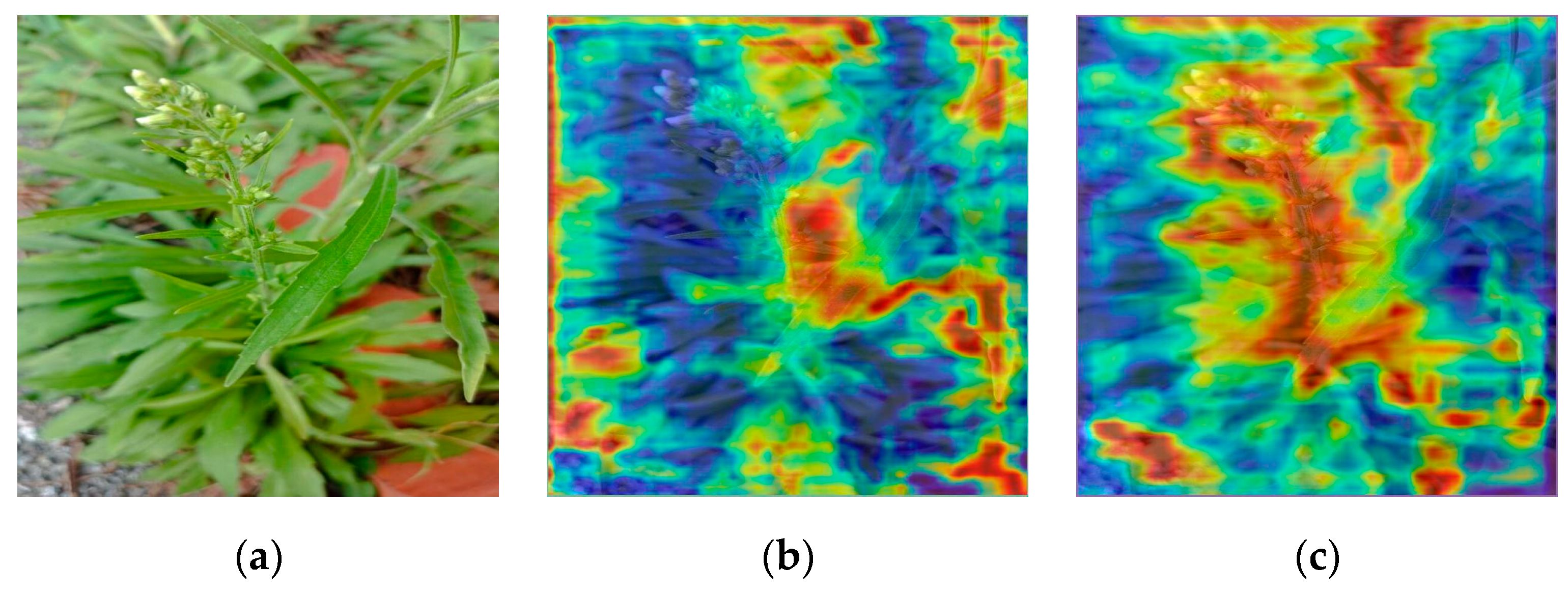 Applsci 15 04812 g007b