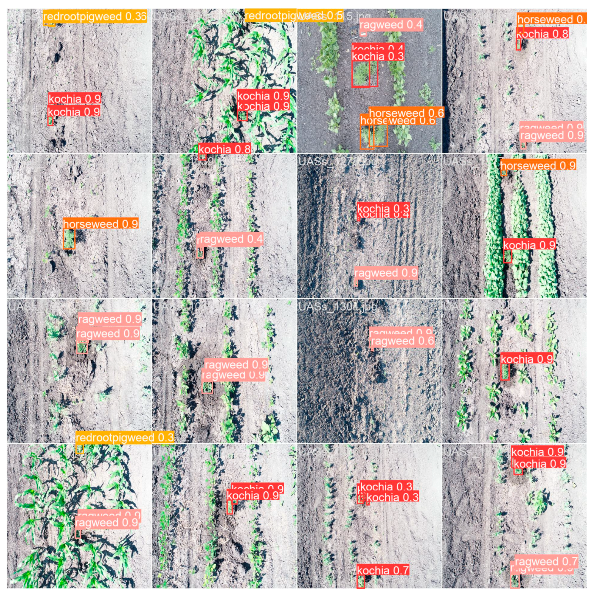 Applsci 15 04812 g008