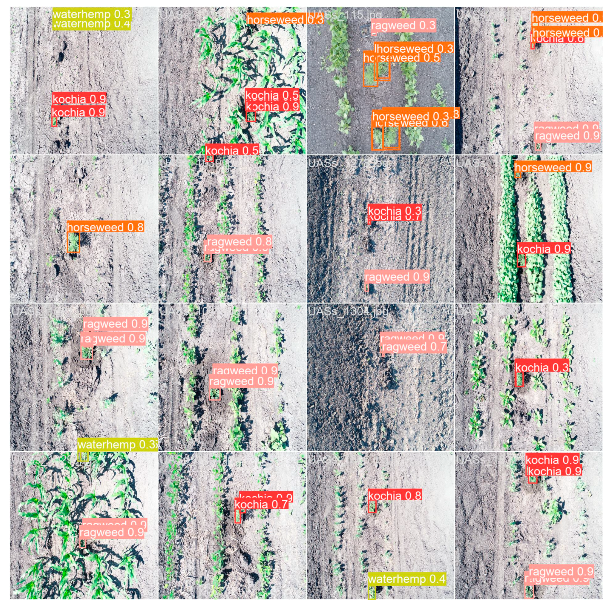 Applsci 15 04812 g009