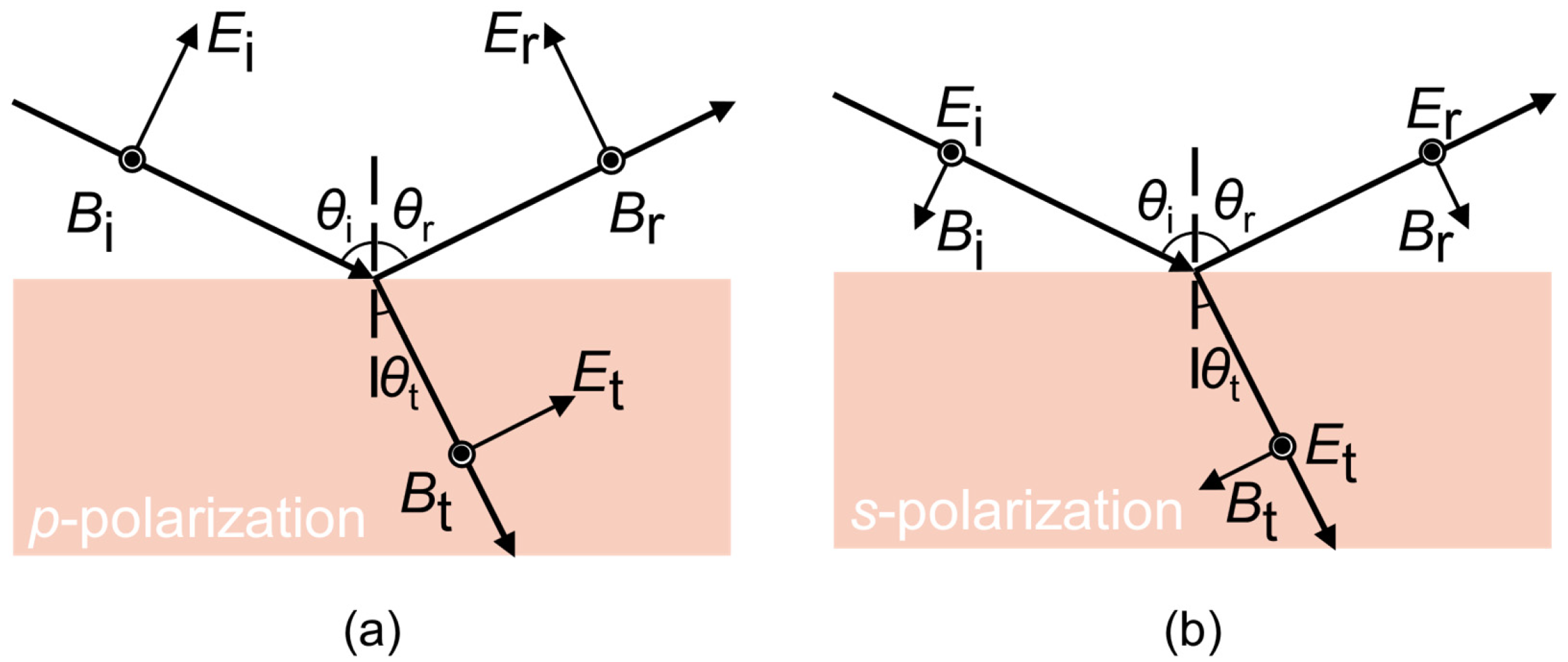Applsci 15 04814 g001