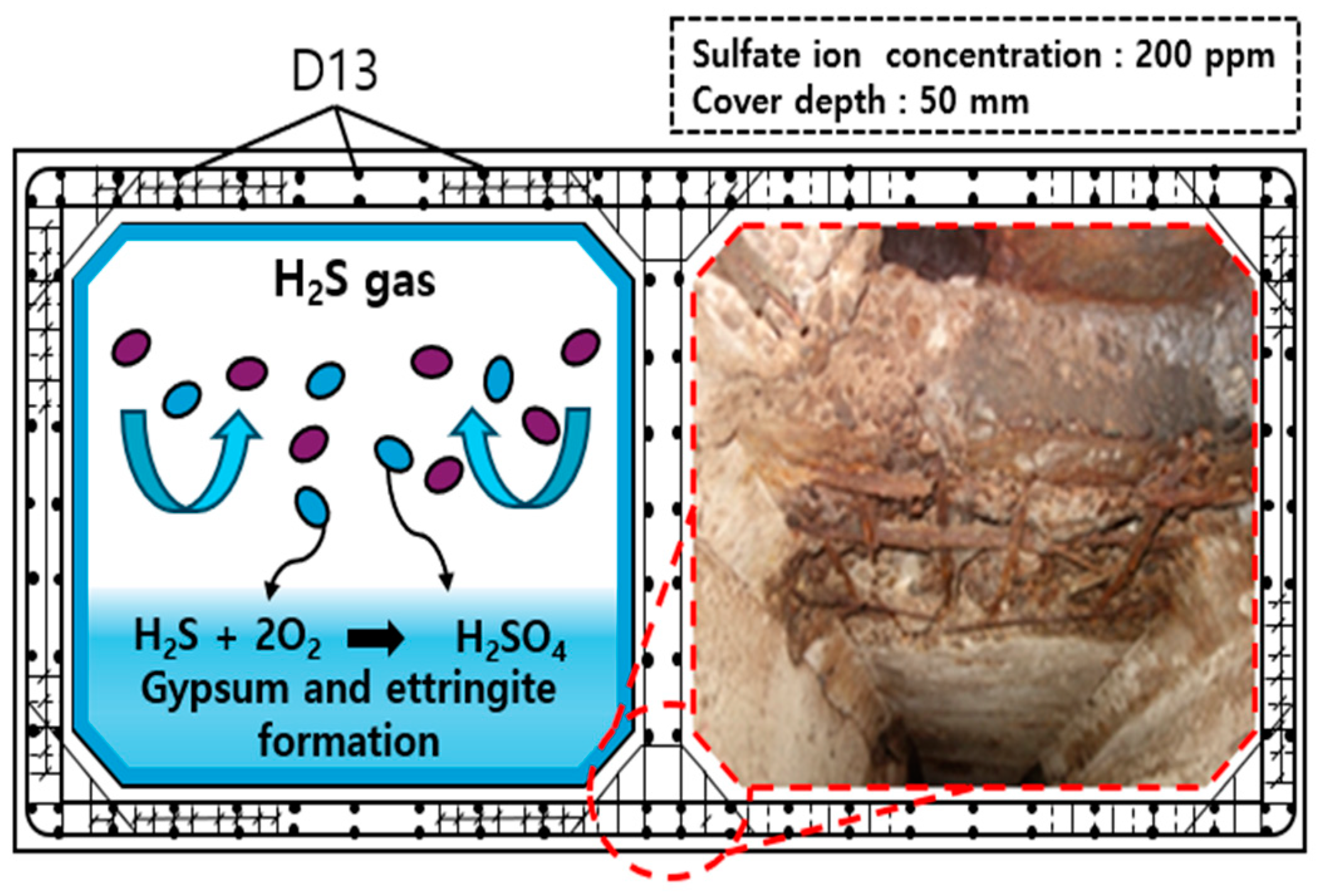 Applsci 15 04816 g009