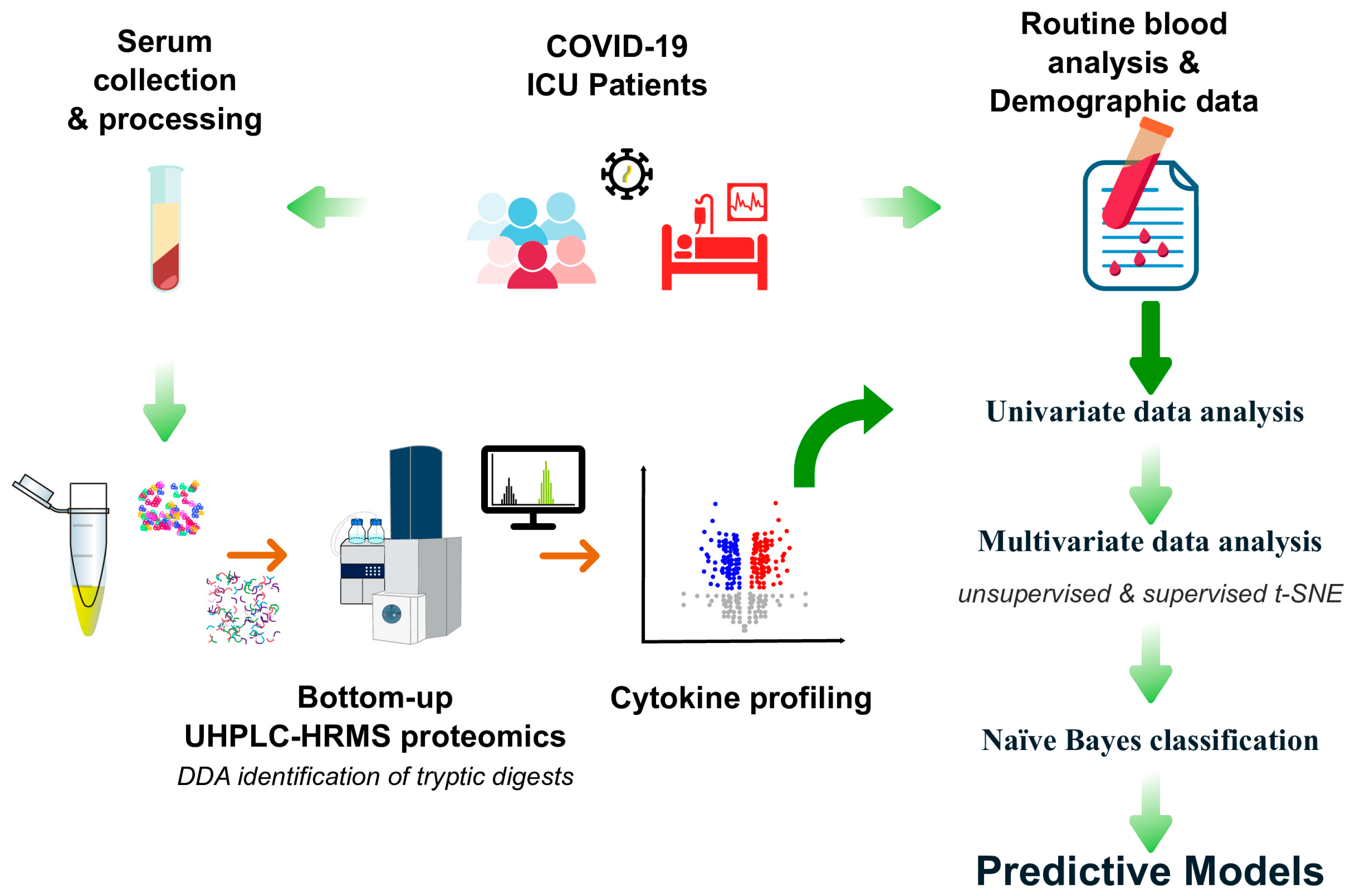 Applsci 15 04823 g001 Applsci 15 04823 g001