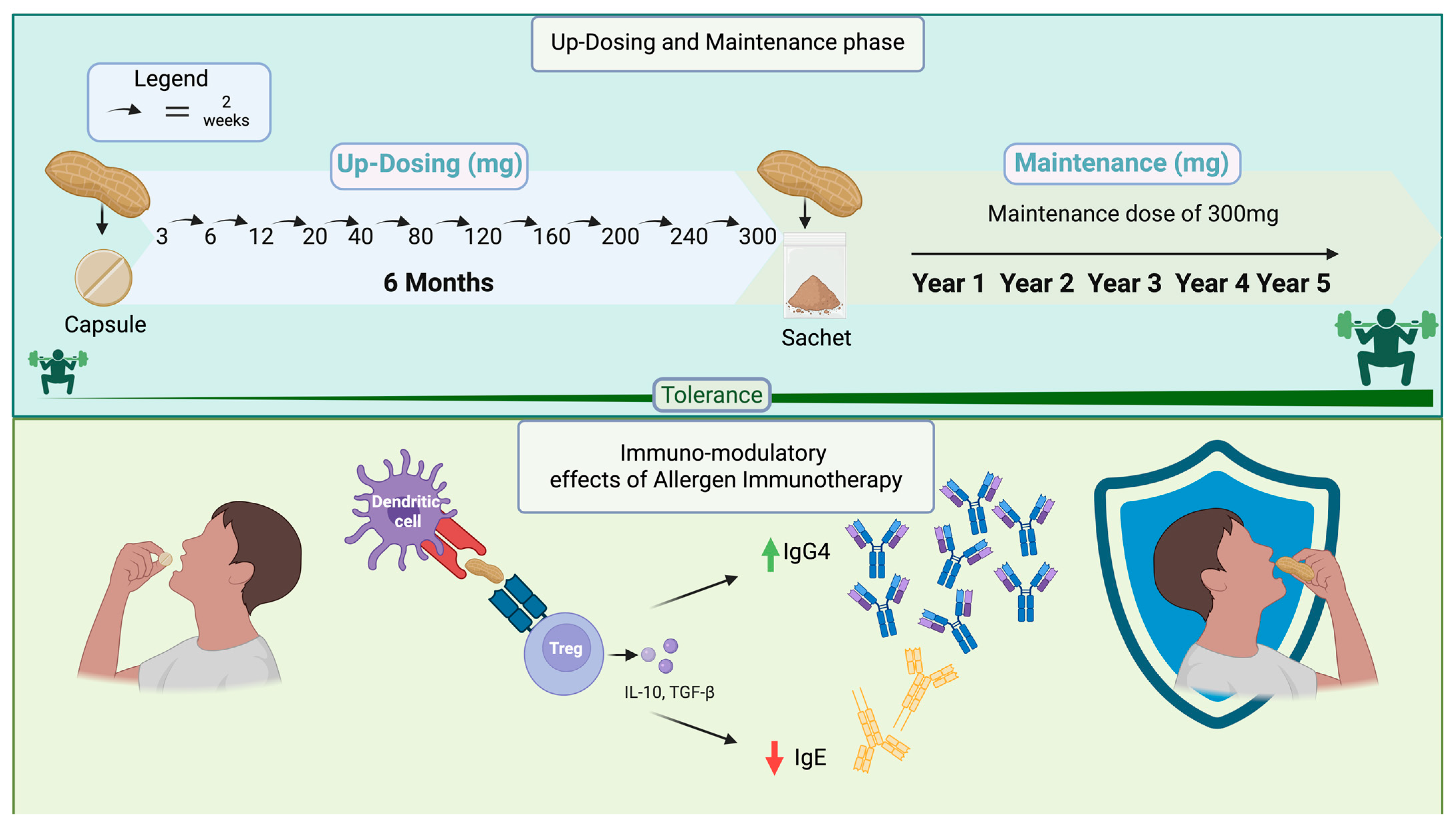 Applsci 15 04833 g002