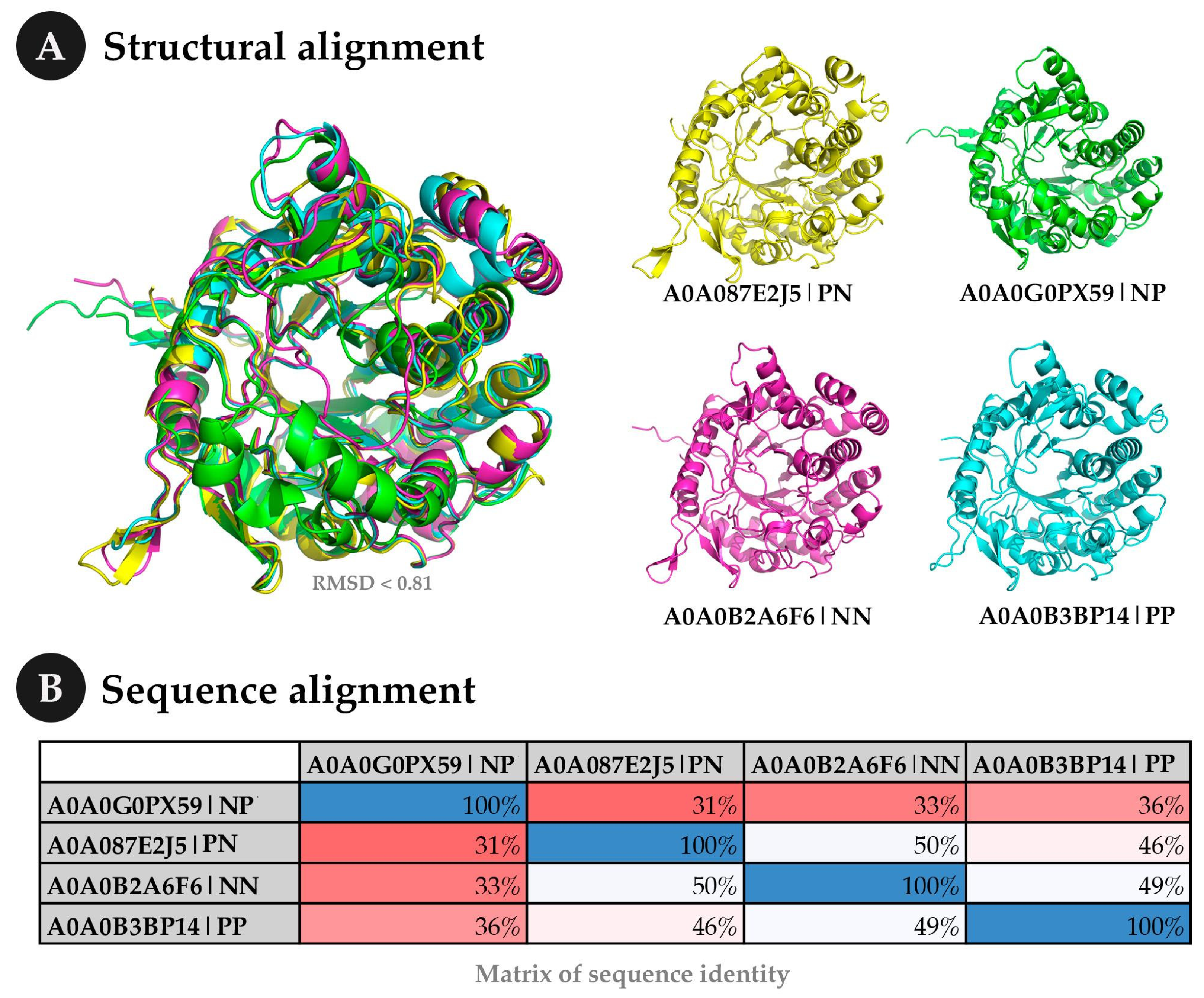 Applsci 15 04839 g005